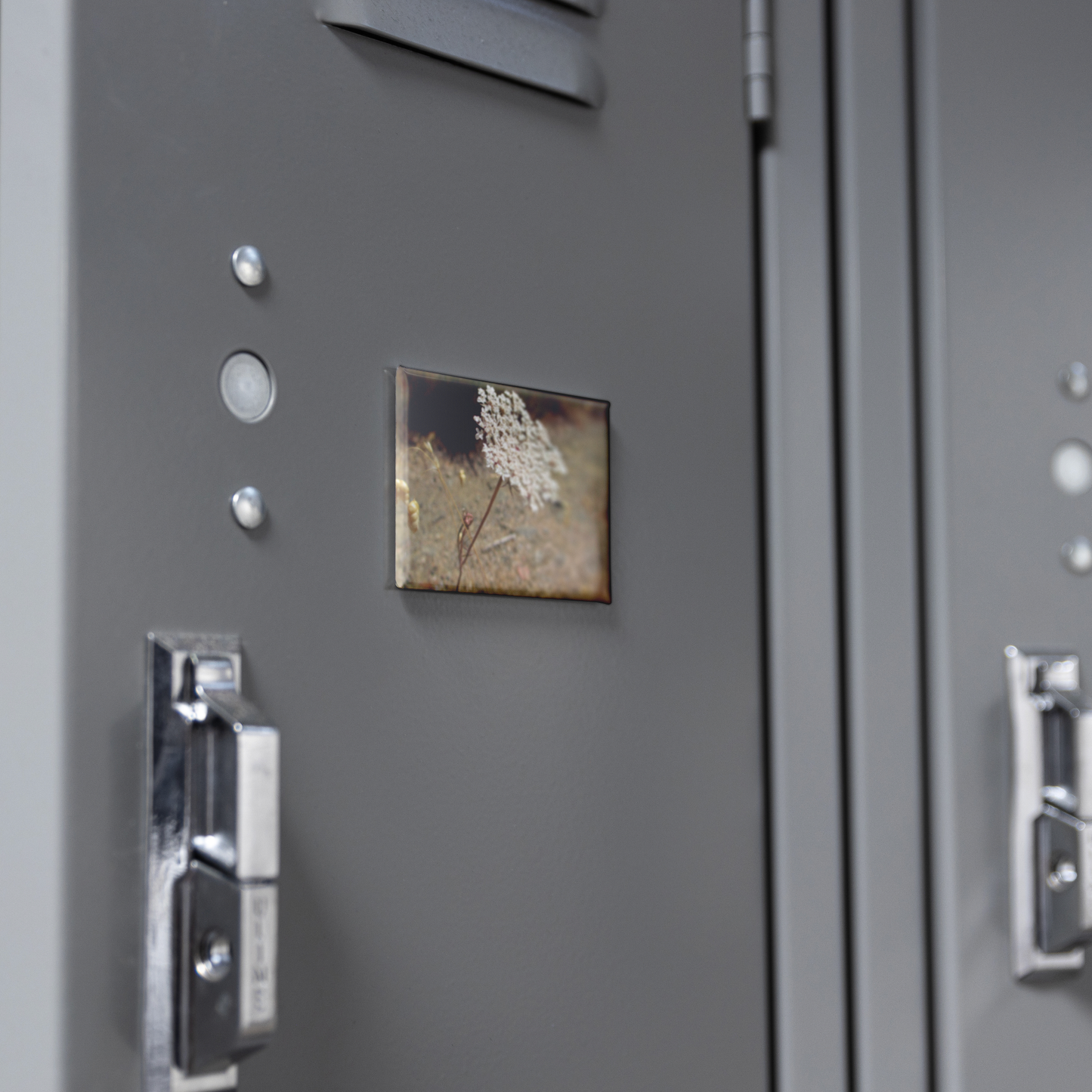 Delicate_Queen_Annes_Lace_Rectangular__RectangleButtonMagnet_H_Locker_Mockup.png