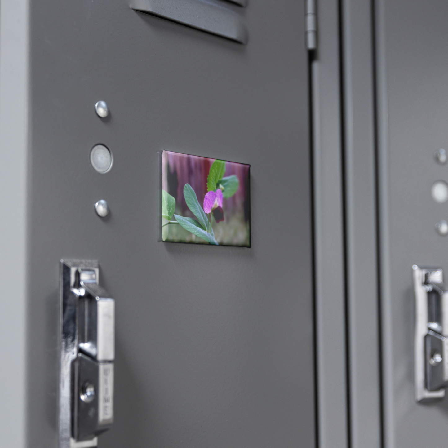 Delicate_Wild_Sweet_Pea_in_Garden_Close-_RectangleButtonMagnet_H_Locker_Mockup.png