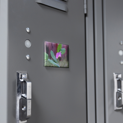 Delicate_Wild_Sweet_Pea_in_Garden_Close-_RectangleButtonMagnet_H_Locker_Mockup.png