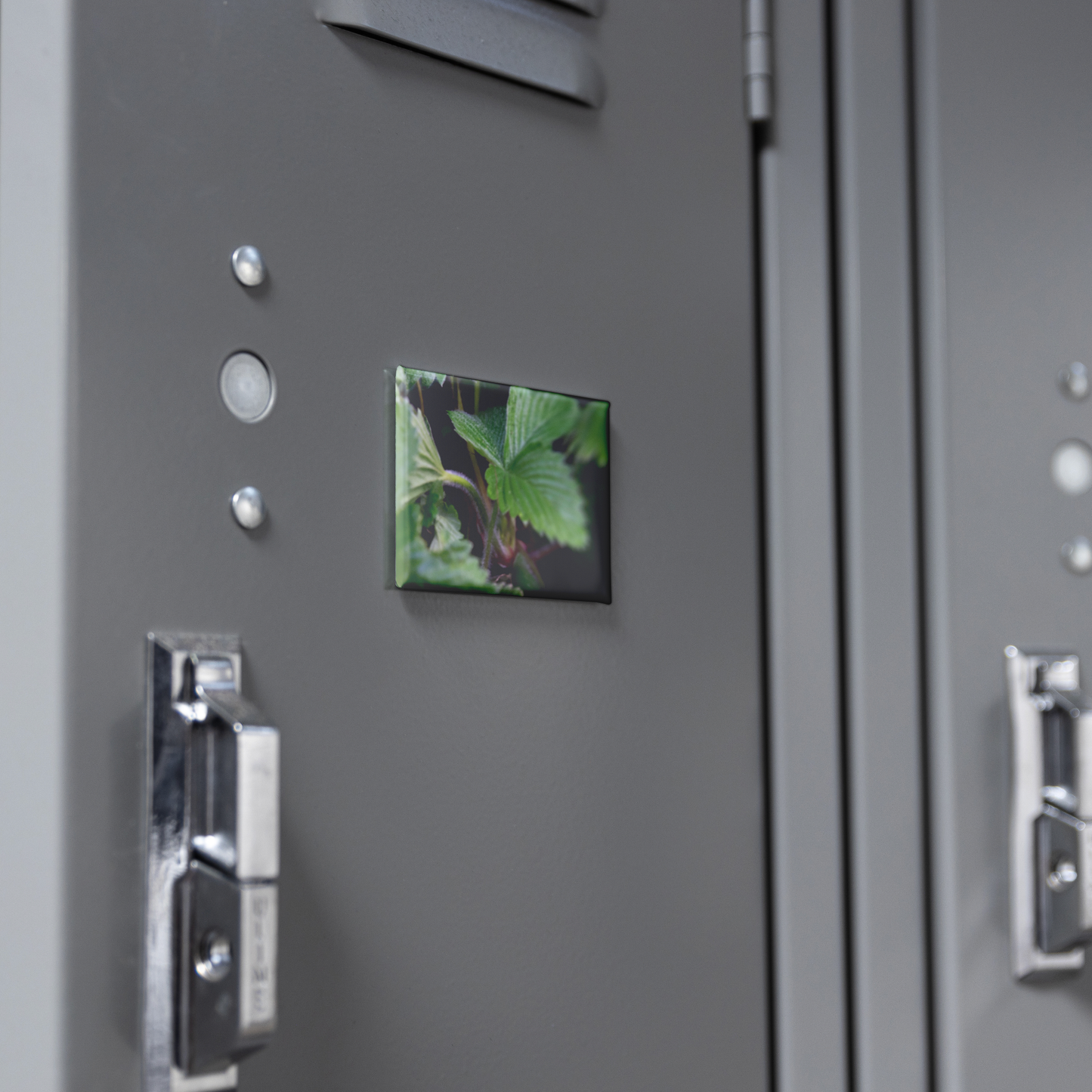 Detailed_Close-Up_of_Textured_Strawberry_RectangleButtonMagnet_H_Locker_Mockup.png