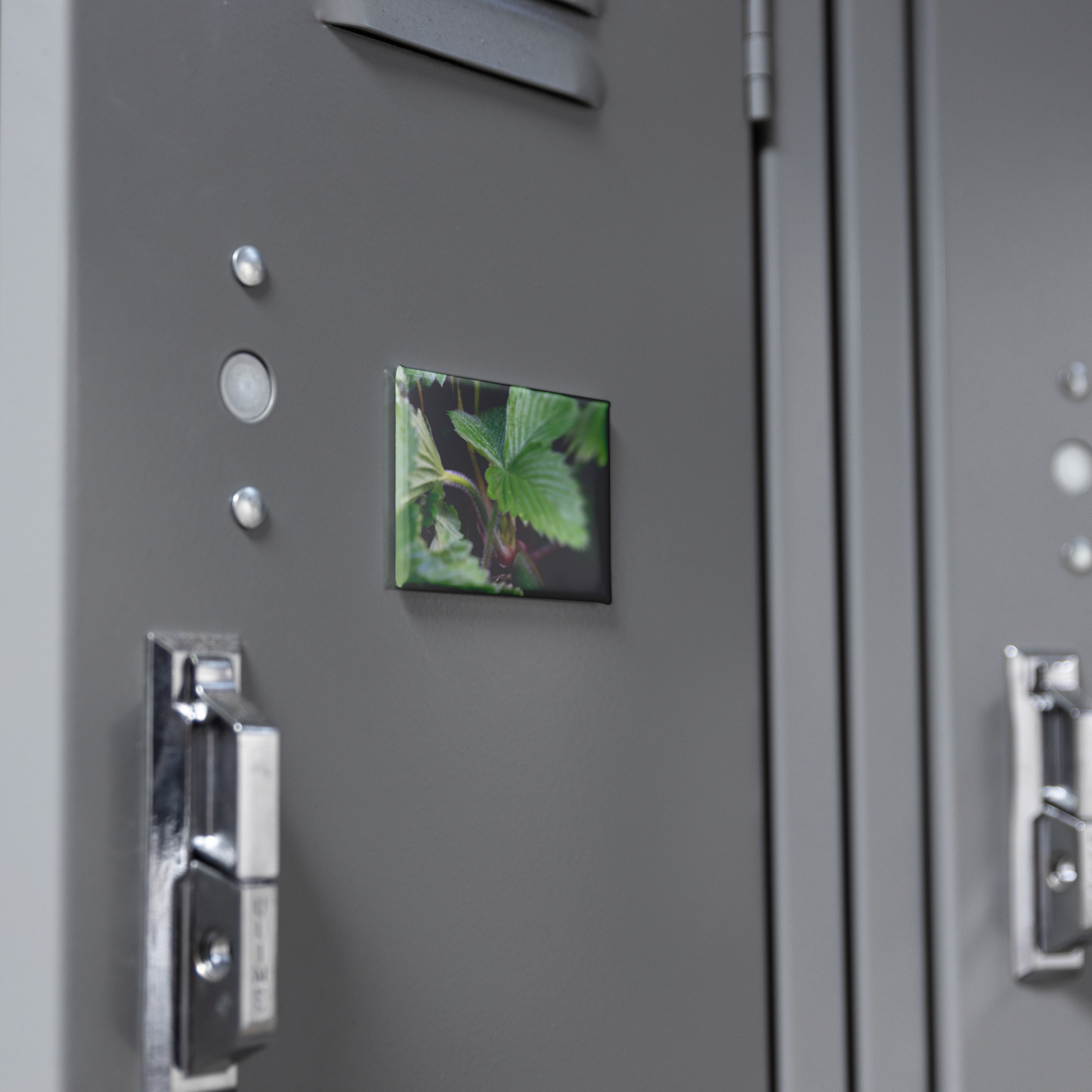 Detailed_Close-Up_of_Textured_Strawberry_RectangleButtonMagnet_H_Locker_Mockup.png