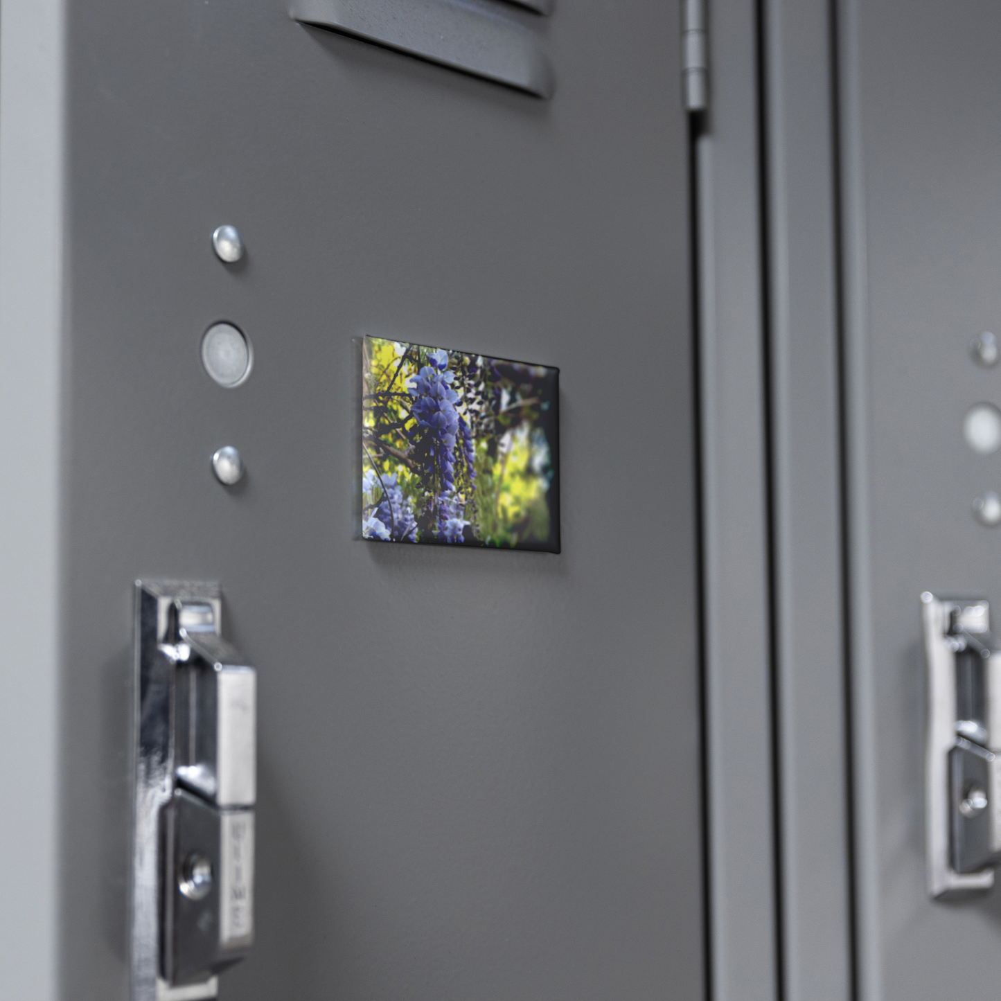 Draping_Wisteria_Vines_with_Vibrant_Gree_RectangleButtonMagnet_H_Locker_Mockup.png