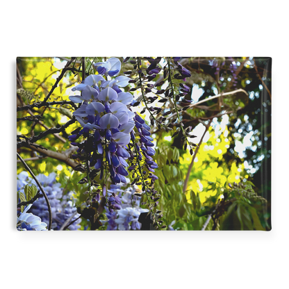 Draping_Wisteria_Vines_with_Vibrant_Gree_RectangleButtonMagnet_H_Main_AS_Mockup.png