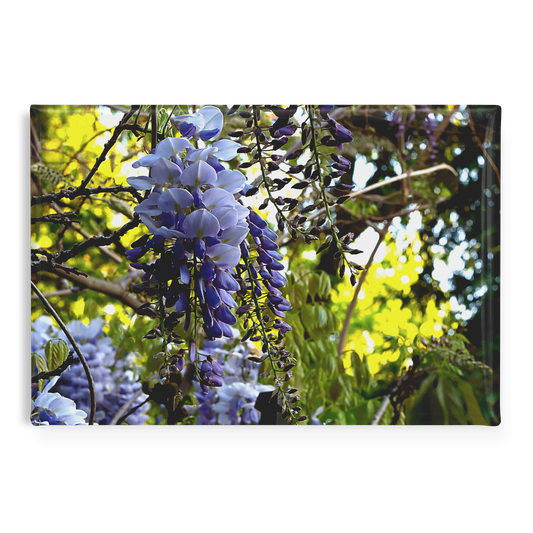 Draping_Wisteria_Vines_with_Vibrant_Gree_RectangleButtonMagnet_H_Main_AS_Mockup.png