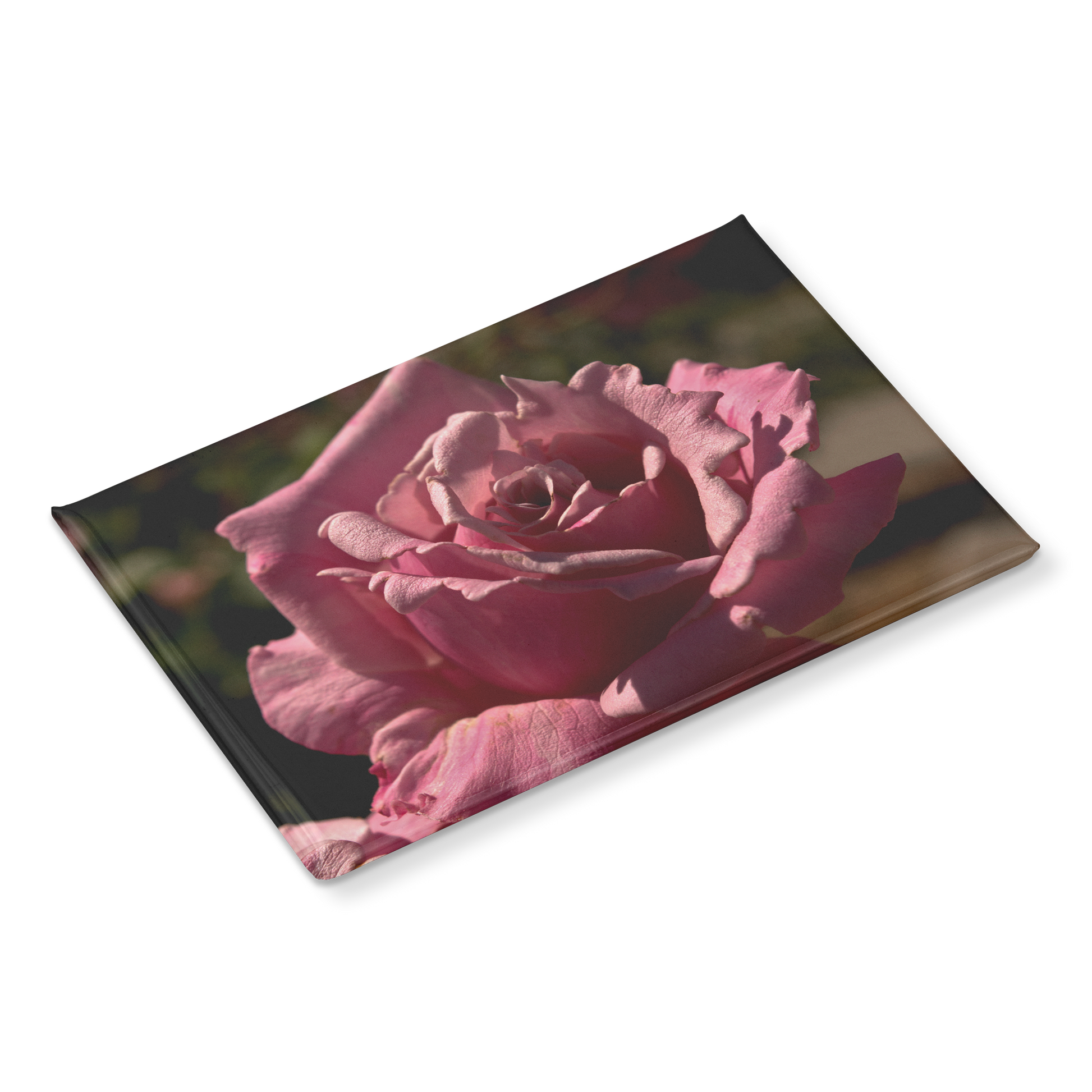 Elegant_Pink_Rose_with_Detailed_Petal_Te_RectangleButtonMagnet_H_Angle_Mockup.png