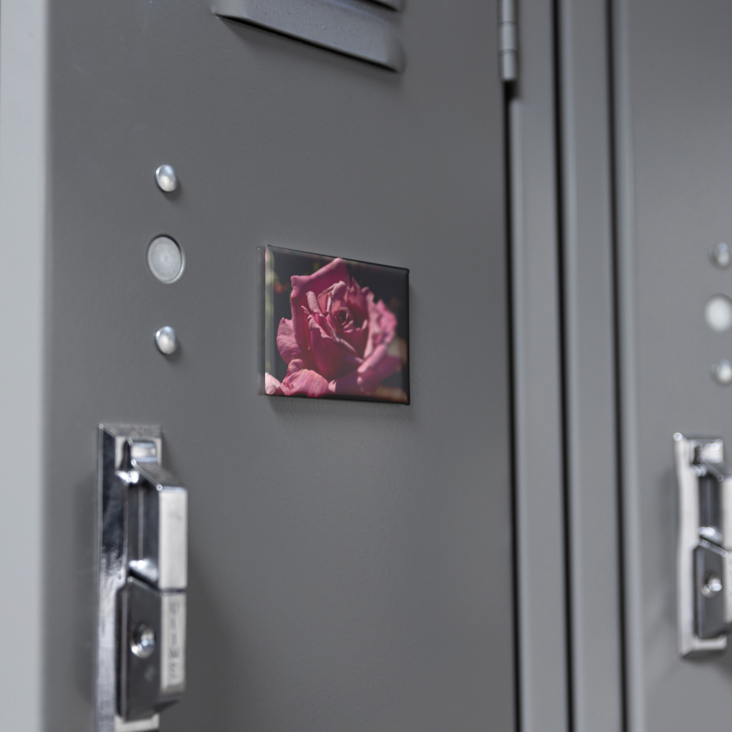 Elegant_Pink_Rose_with_Detailed_Petal_Te_RectangleButtonMagnet_H_Locker_Mockup.png