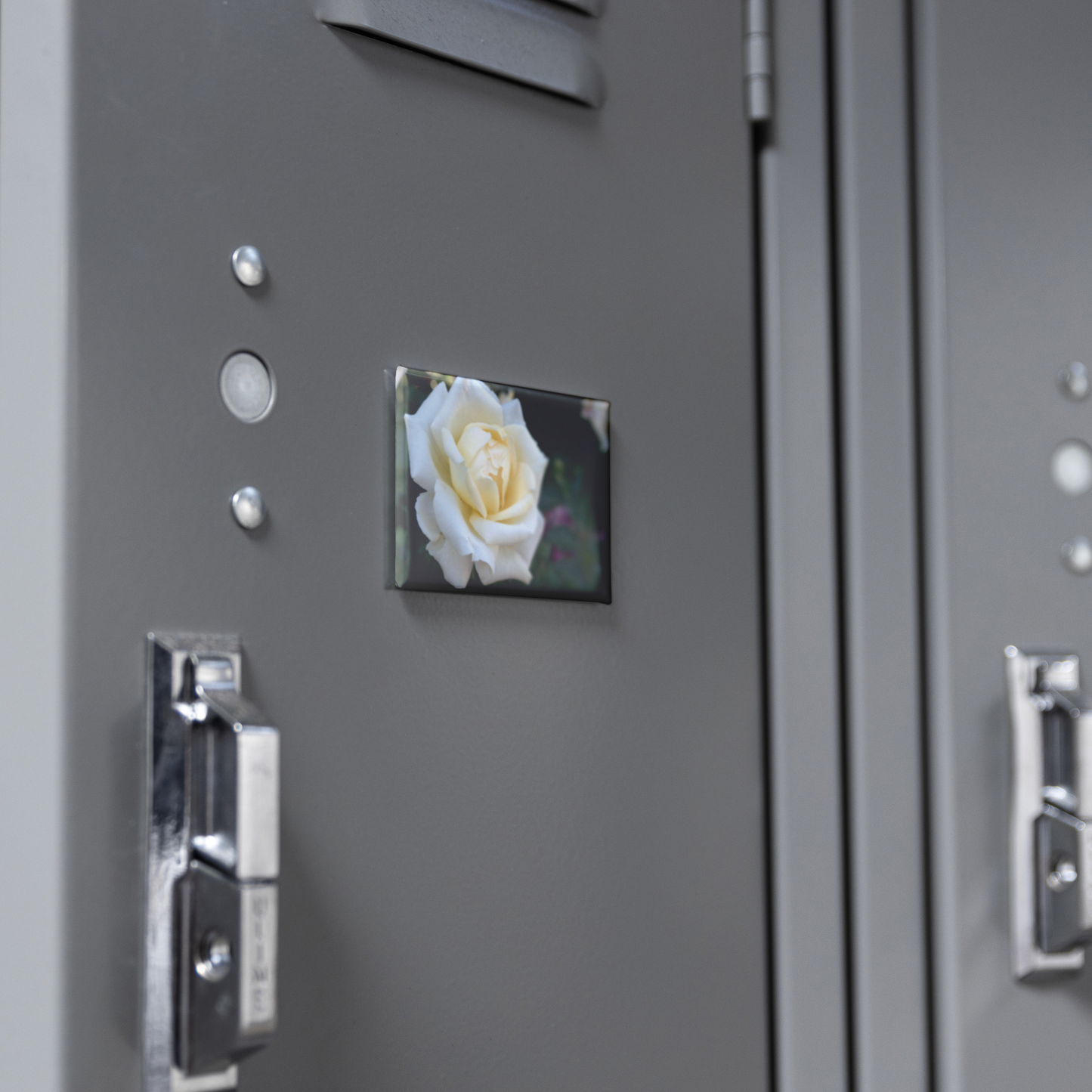 Elegant_White_Rose_with_Golden_Center_Cl_RectangleButtonMagnet_H_Locker_Mockup.png