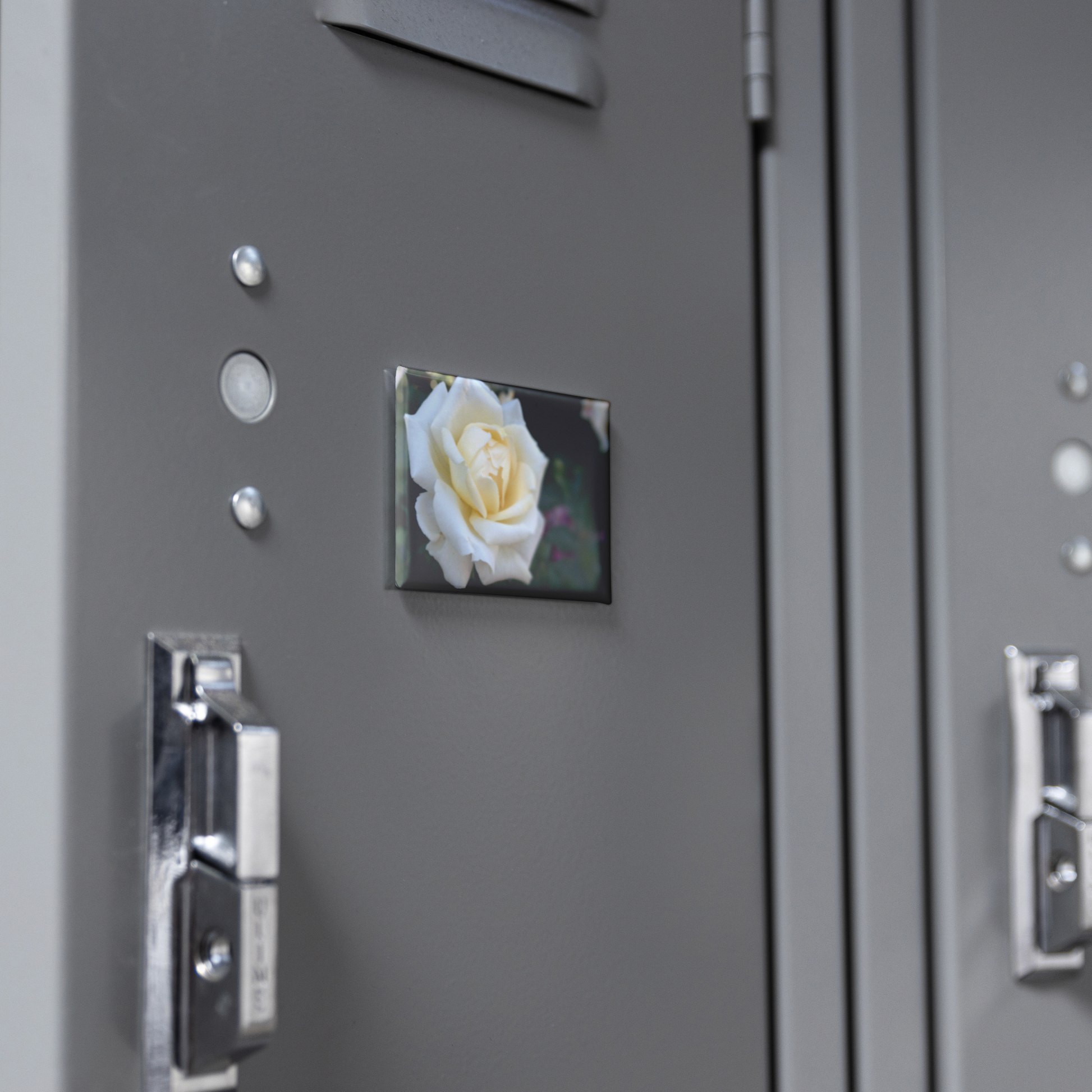 Elegant_White_Rose_with_Golden_Center_Cl_RectangleButtonMagnet_H_Locker_Mockup.png