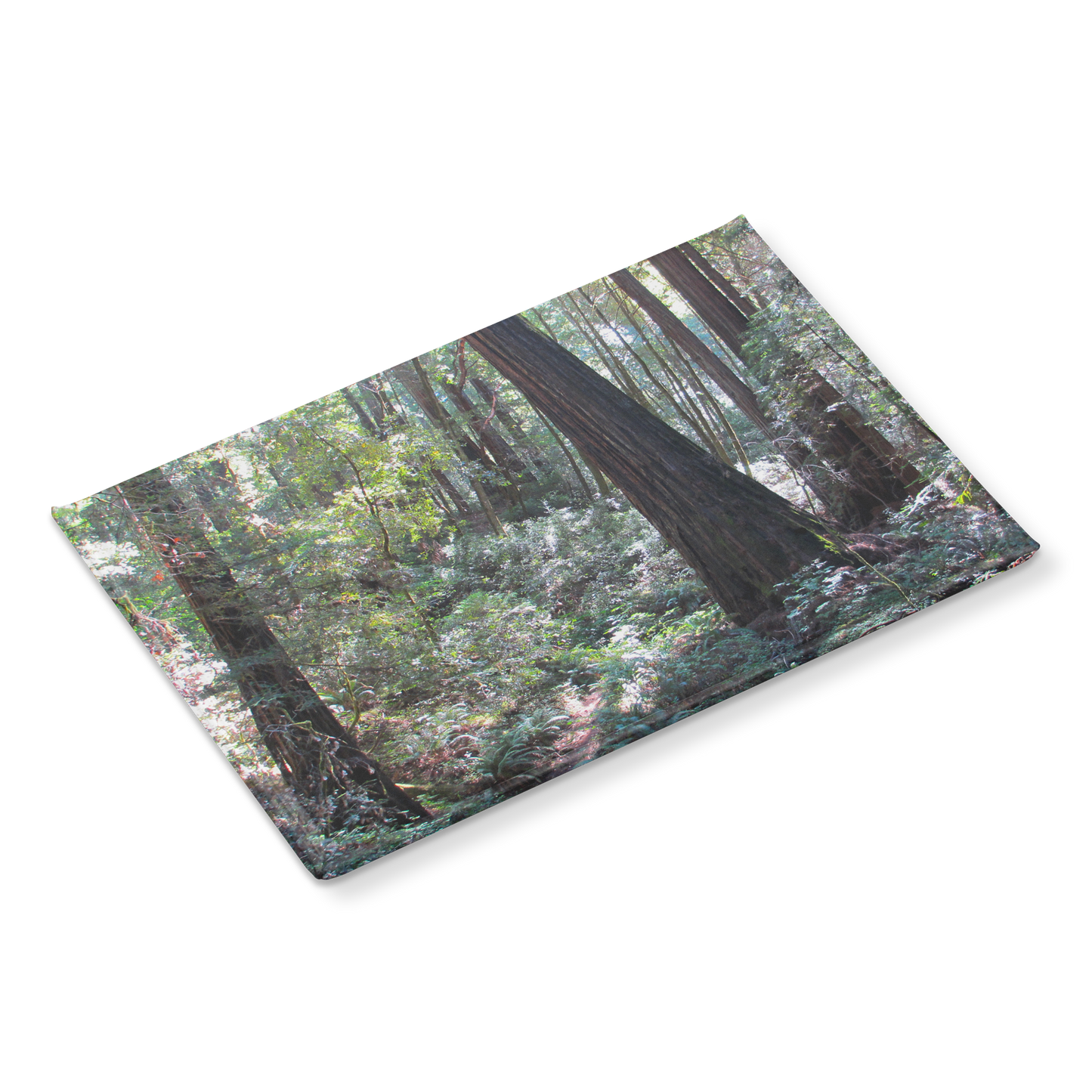 Enchanting_Redwood_Trail_with_Fern-Lined_RectangleButtonMagnet_H_Angle_Mockup.png