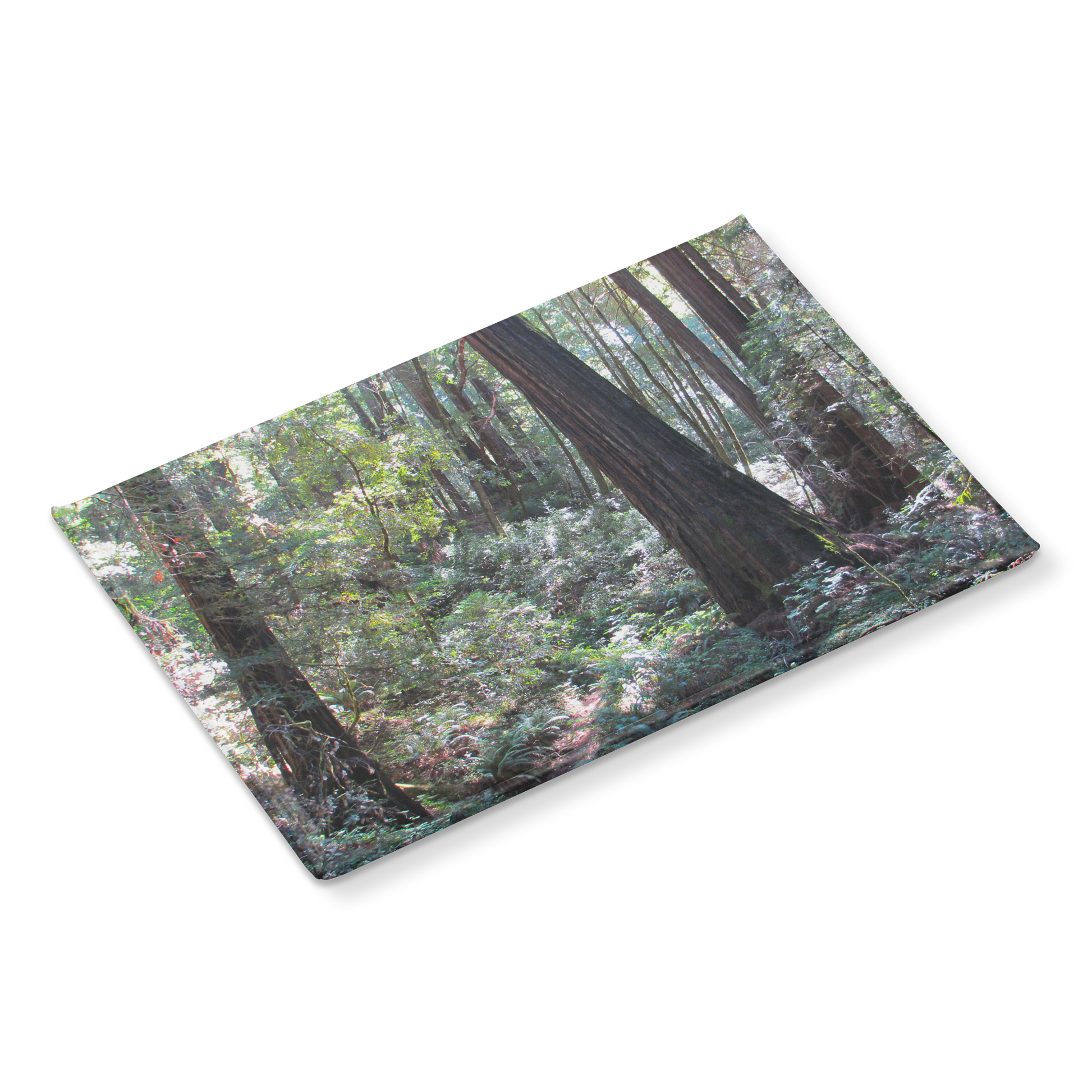 Enchanting_Redwood_Trail_with_Fern-Lined_RectangleButtonMagnet_H_Angle_Mockup.png