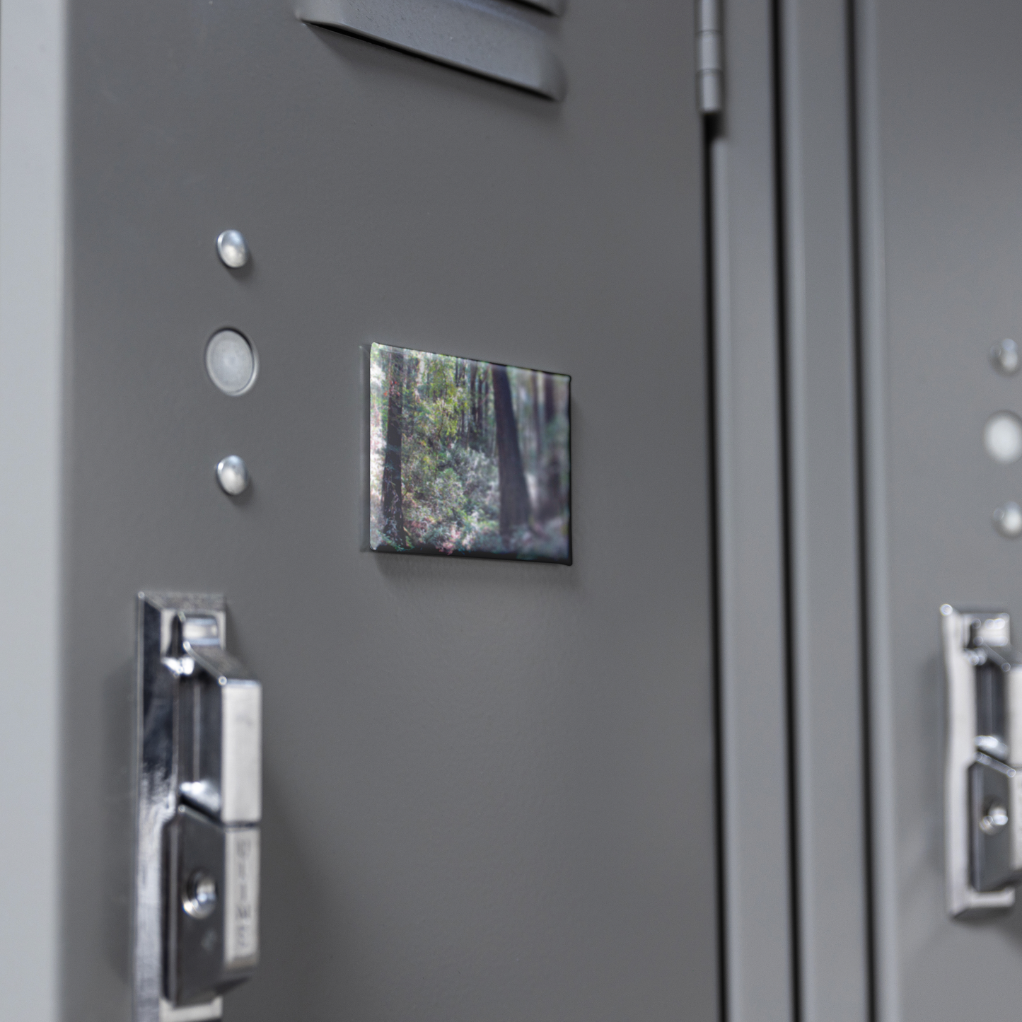 Enchanting_Redwood_Trail_with_Fern-Lined_RectangleButtonMagnet_H_Locker_Mockup.png