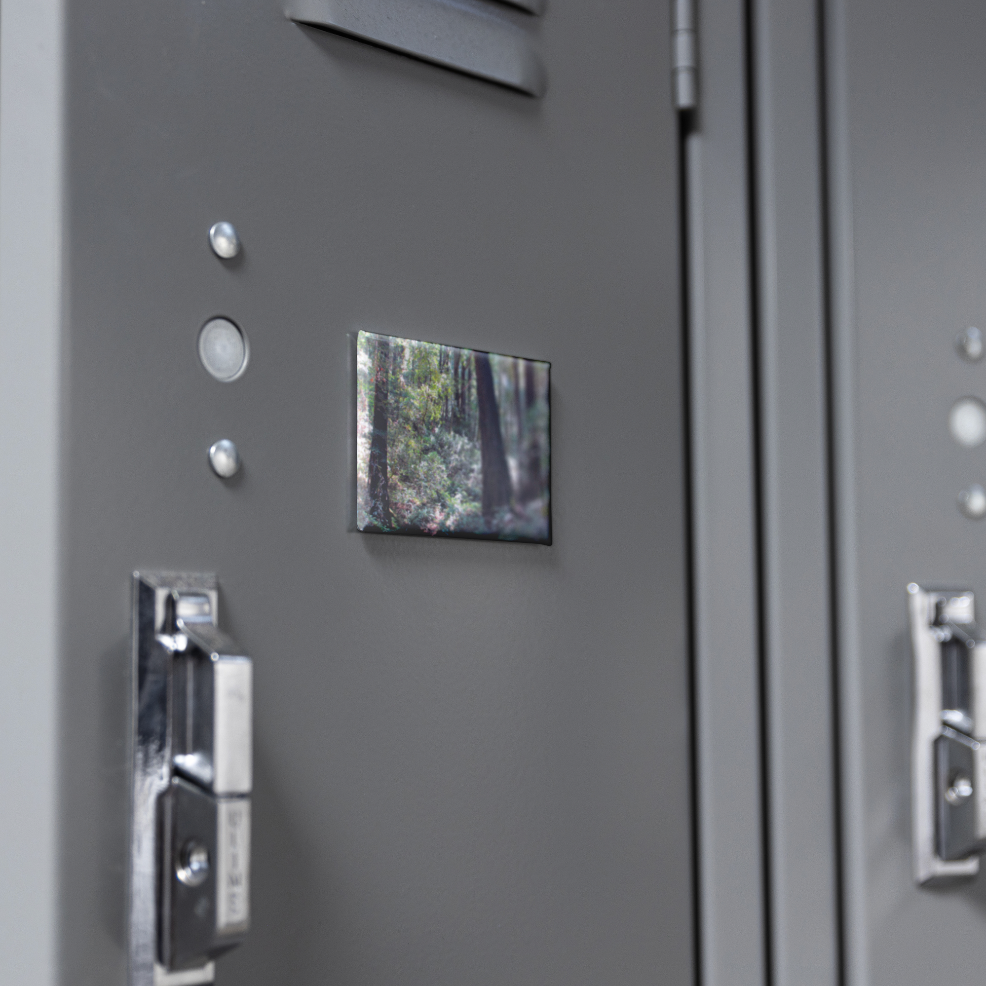 Enchanting_Redwood_Trail_with_Fern-Lined_RectangleButtonMagnet_H_Locker_Mockup.png