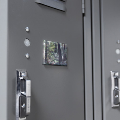 Enchanting_Redwood_Trail_with_Fern-Lined_RectangleButtonMagnet_H_Locker_Mockup.png