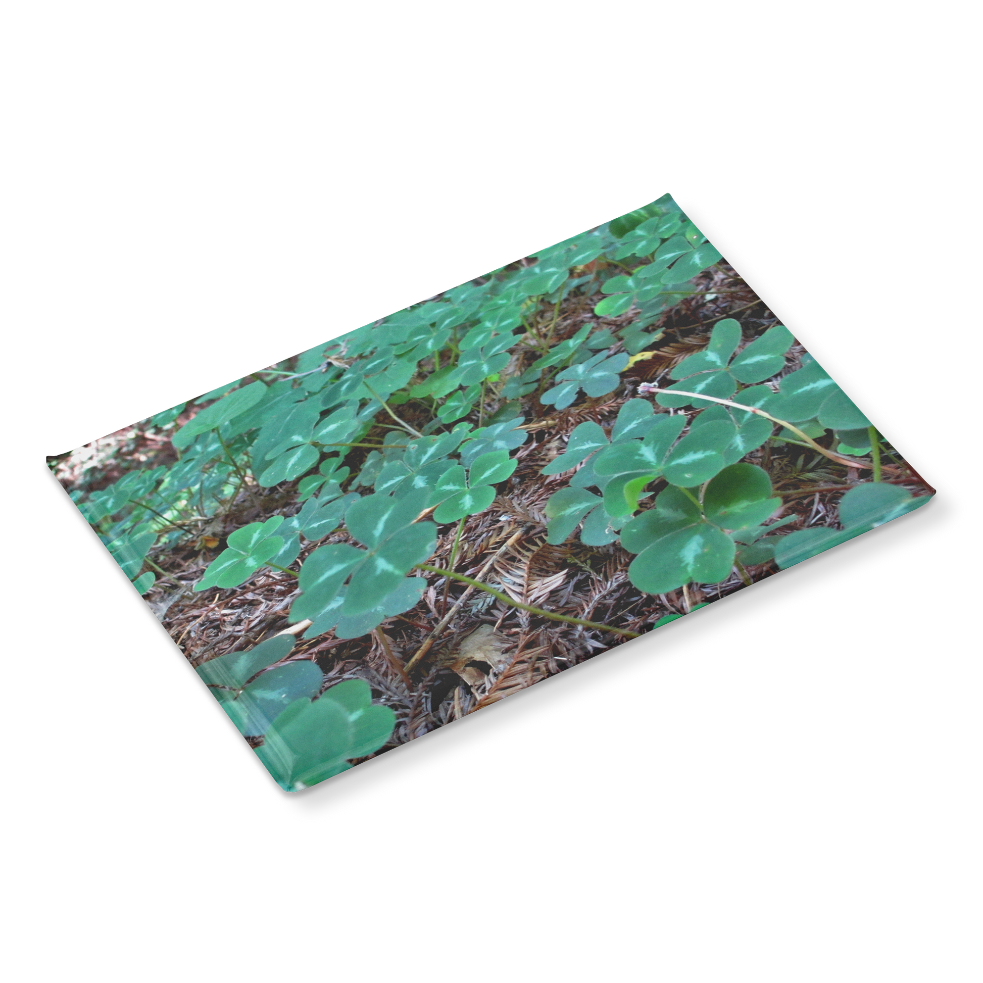 Field_of_Clover_Amid_Redwood_Needles_Re_RectangleButtonMagnet_H_Angle_Mockup.png