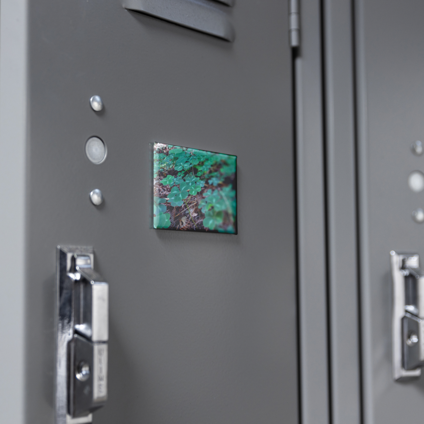 Field_of_Clover_Amid_Redwood_Needles_Re_RectangleButtonMagnet_H_Locker_Mockup.png