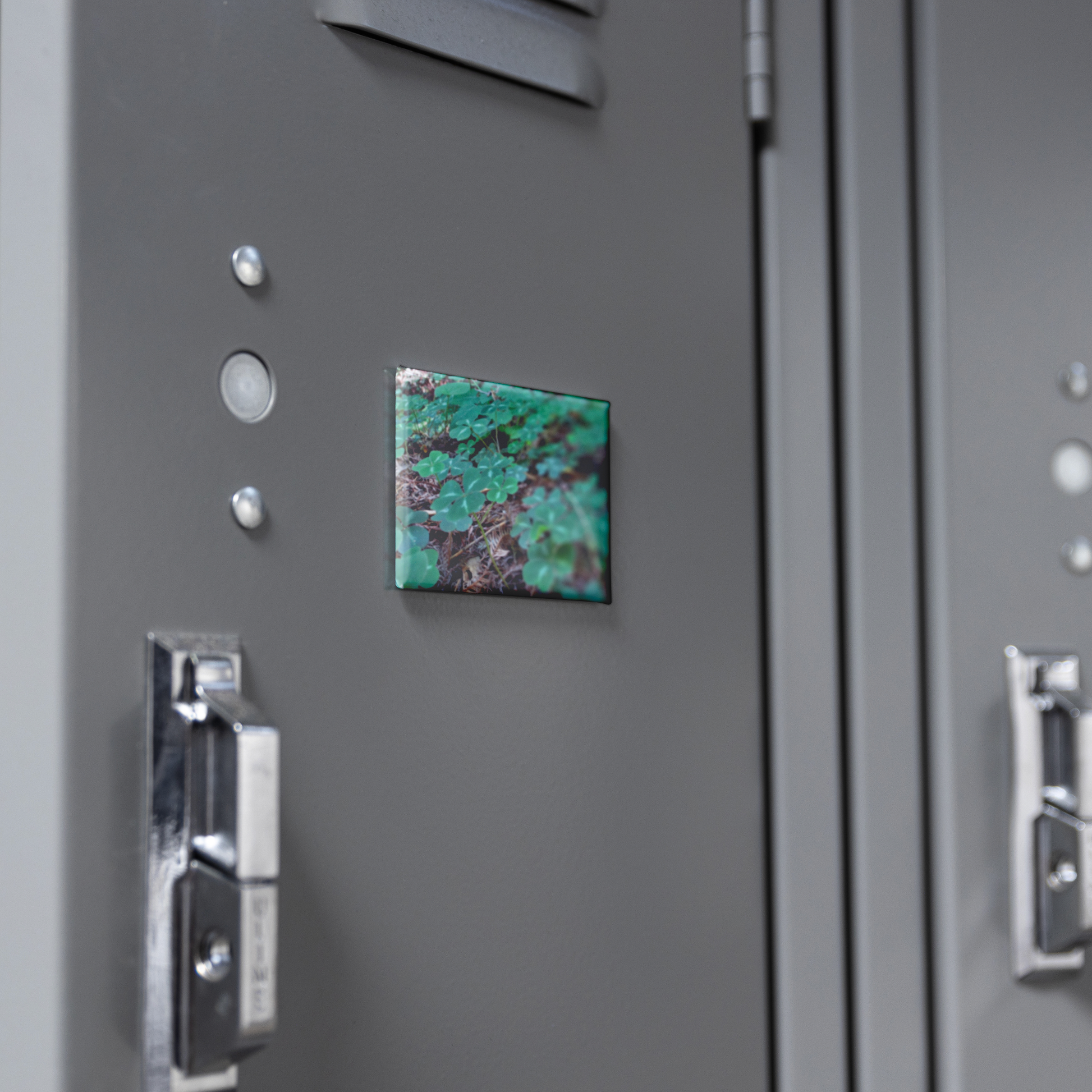 Field_of_Clover_Amid_Redwood_Needles_Re_RectangleButtonMagnet_H_Locker_Mockup.png