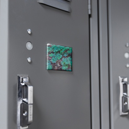 Field_of_Clover_Amid_Redwood_Needles_Re_RectangleButtonMagnet_H_Locker_Mockup.png