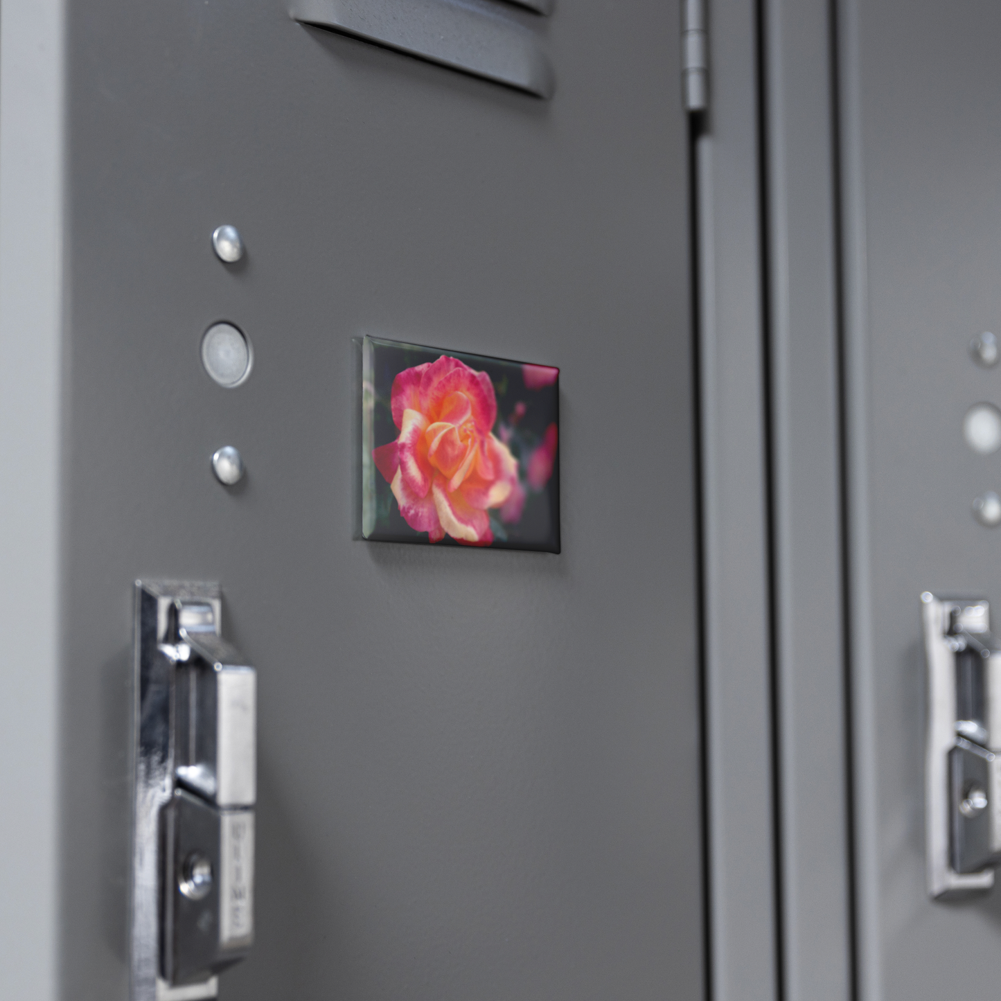 Fiery_Coral_Rose_with_Gold_Highlights_R_RectangleButtonMagnet_H_Locker_Mockup.png