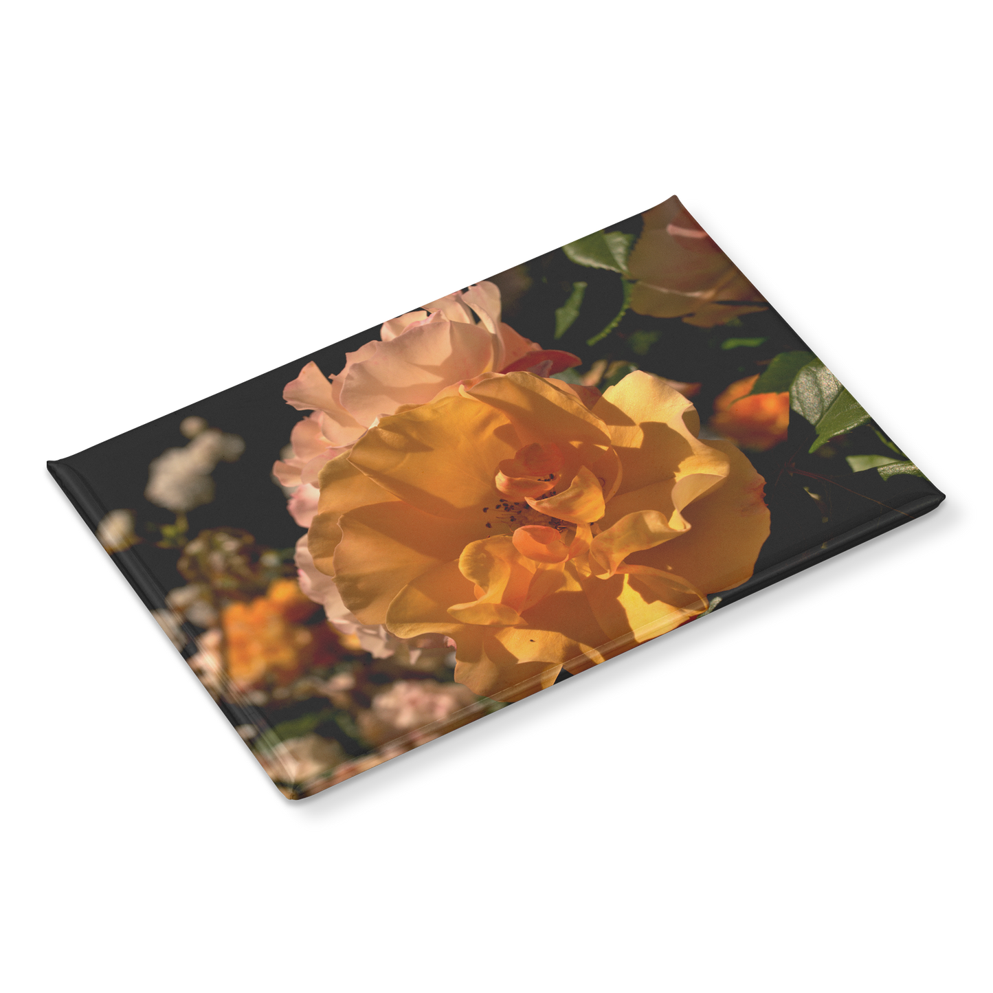 Golden_Yellow_and_Pastel_Pink_Rose_Clust_RectangleButtonMagnet_H_Angle_Mockup.png