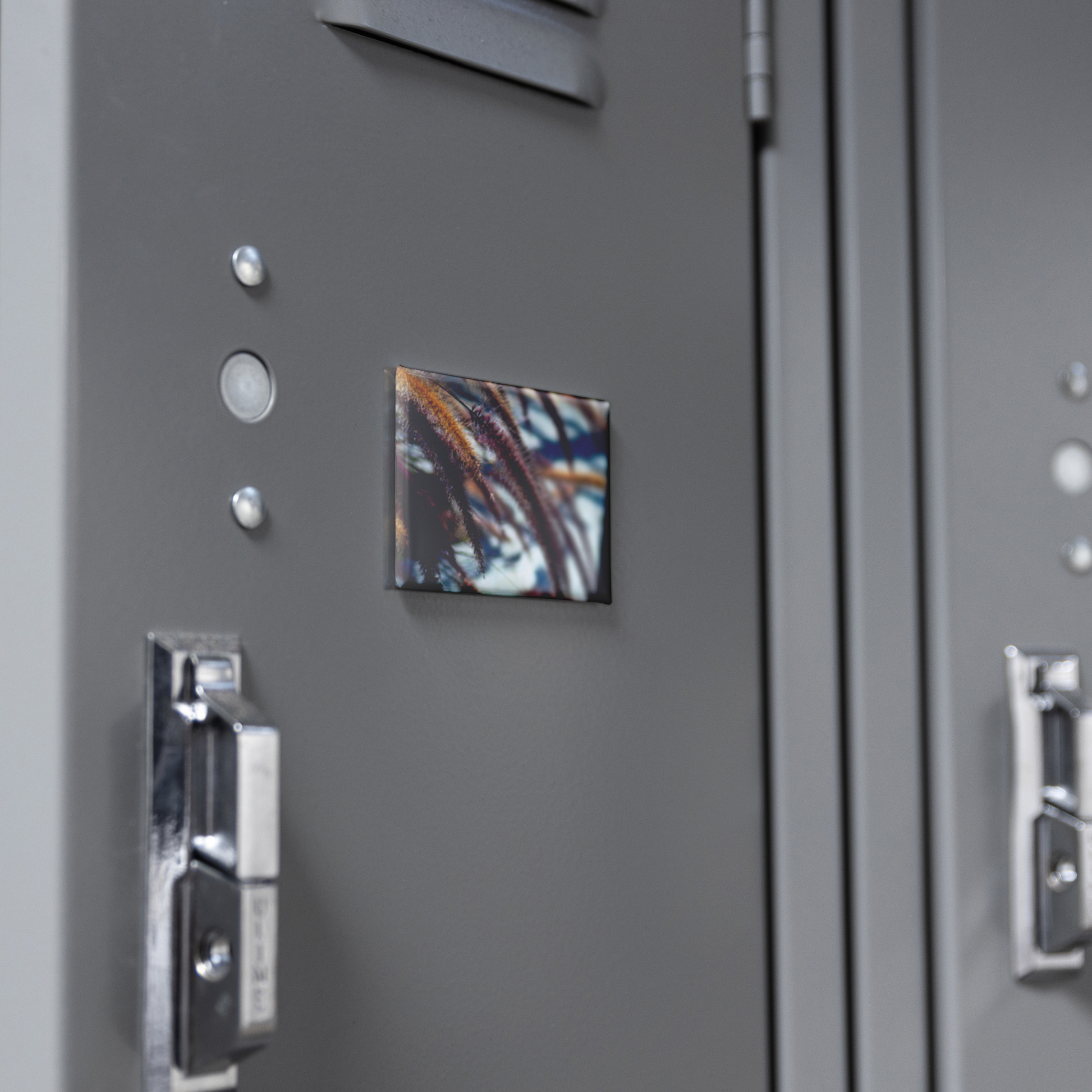 Golden_and_Purple_Foxtails_in_the_Breeze_RectangleButtonMagnet_H_Locker_Mockup.png