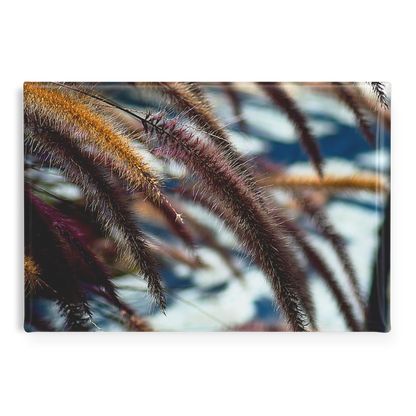 Golden_and_Purple_Foxtails_in_the_Breeze_RectangleButtonMagnet_H_Main_AS_Mockup.png