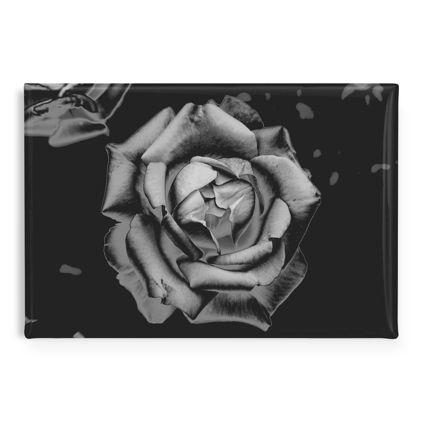 Grey_Charcoal_Rose_Rectangular_Button_M_RectangleButtonMagnet_H_Main_AS_Mockup.png