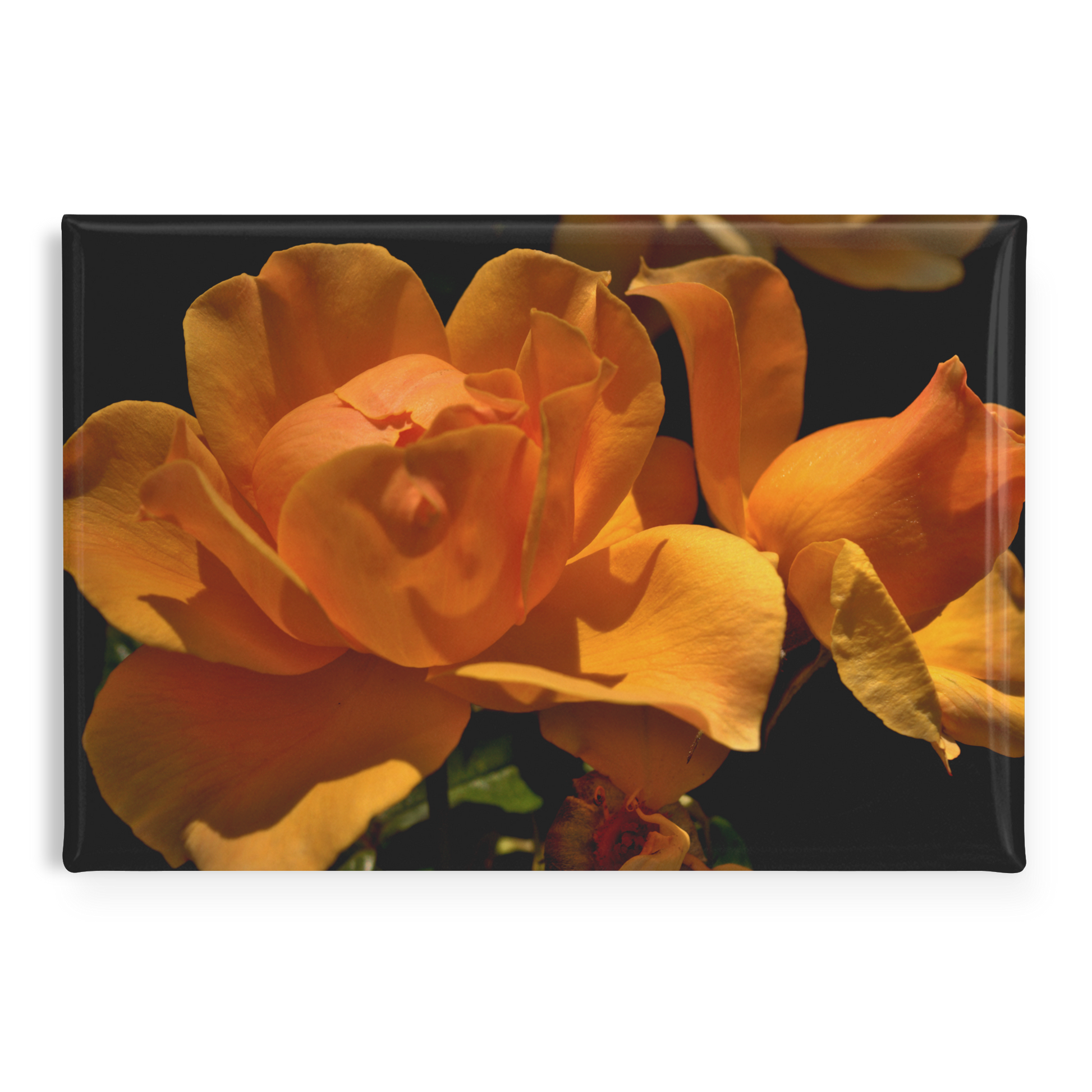 High_Contrast_Close-Up_of_Bold_Yellow_Ro_RectangleButtonMagnet_H_Main_AS_Mockup.png