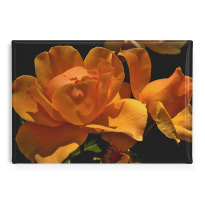 High_Contrast_Close-Up_of_Bold_Yellow_Ro_RectangleButtonMagnet_H_Main_AS_Mockup.png