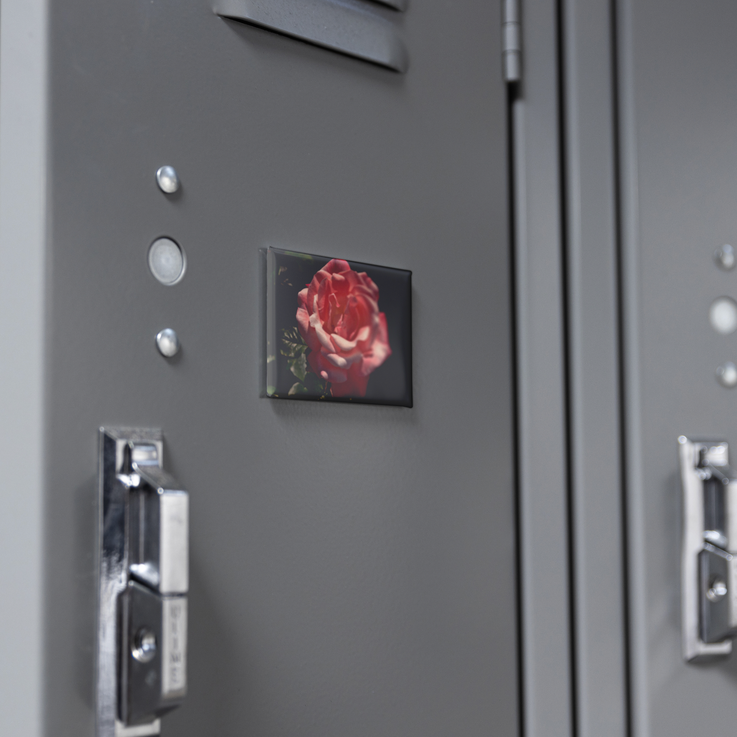 High_Contrast_Pink_Rose_with_Deep_Green__RectangleButtonMagnet_H_Locker_Mockup.png