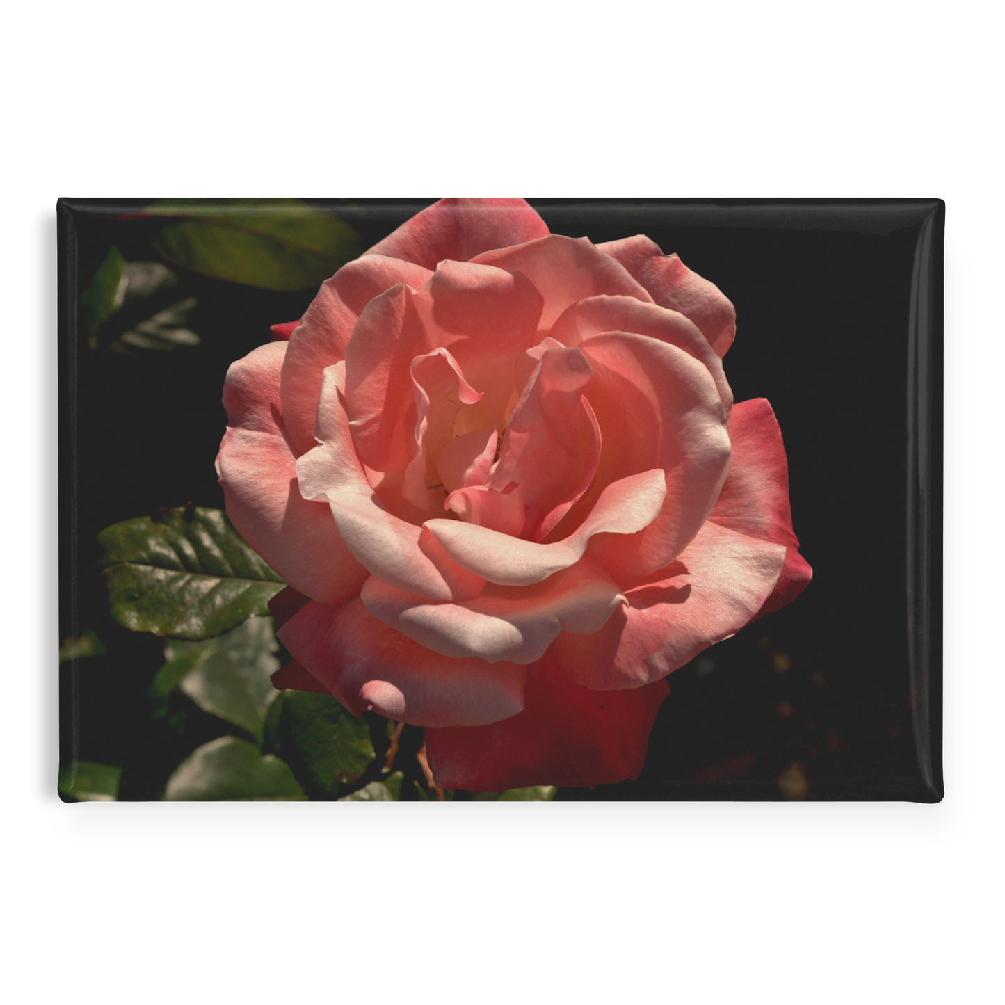 High_Contrast_Pink_Rose_with_Deep_Green__RectangleButtonMagnet_H_Main_AS_Mockup.png