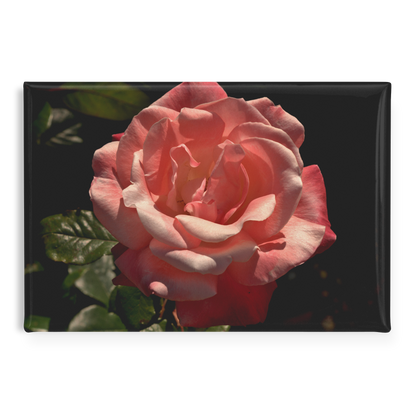 High_Contrast_Pink_Rose_with_Deep_Green__RectangleButtonMagnet_H_Main_AS_Mockup.png