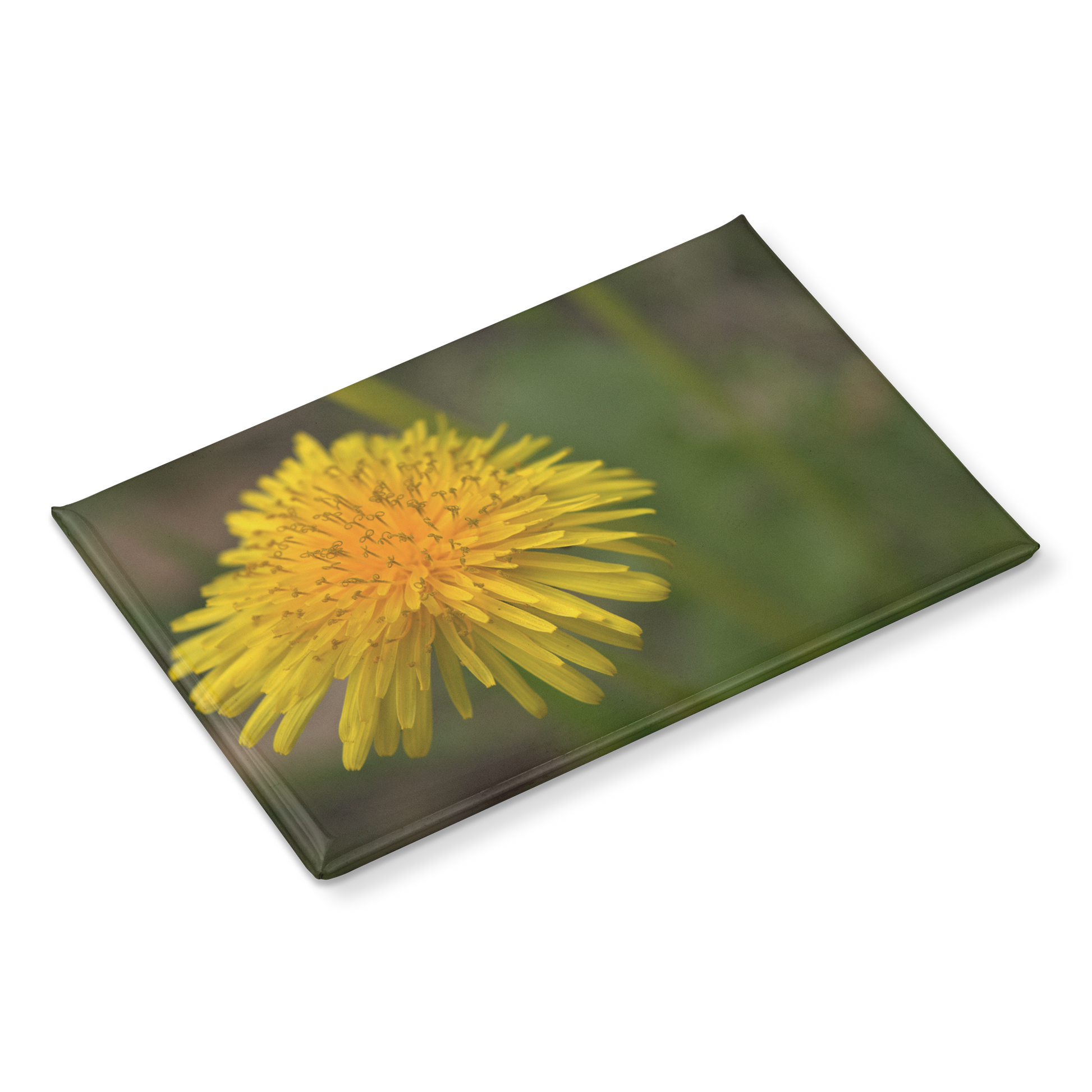 Joyful_Yellow_Dandelion_Close-Up_Rectan_RectangleButtonMagnet_H_Angle_Mockup.png