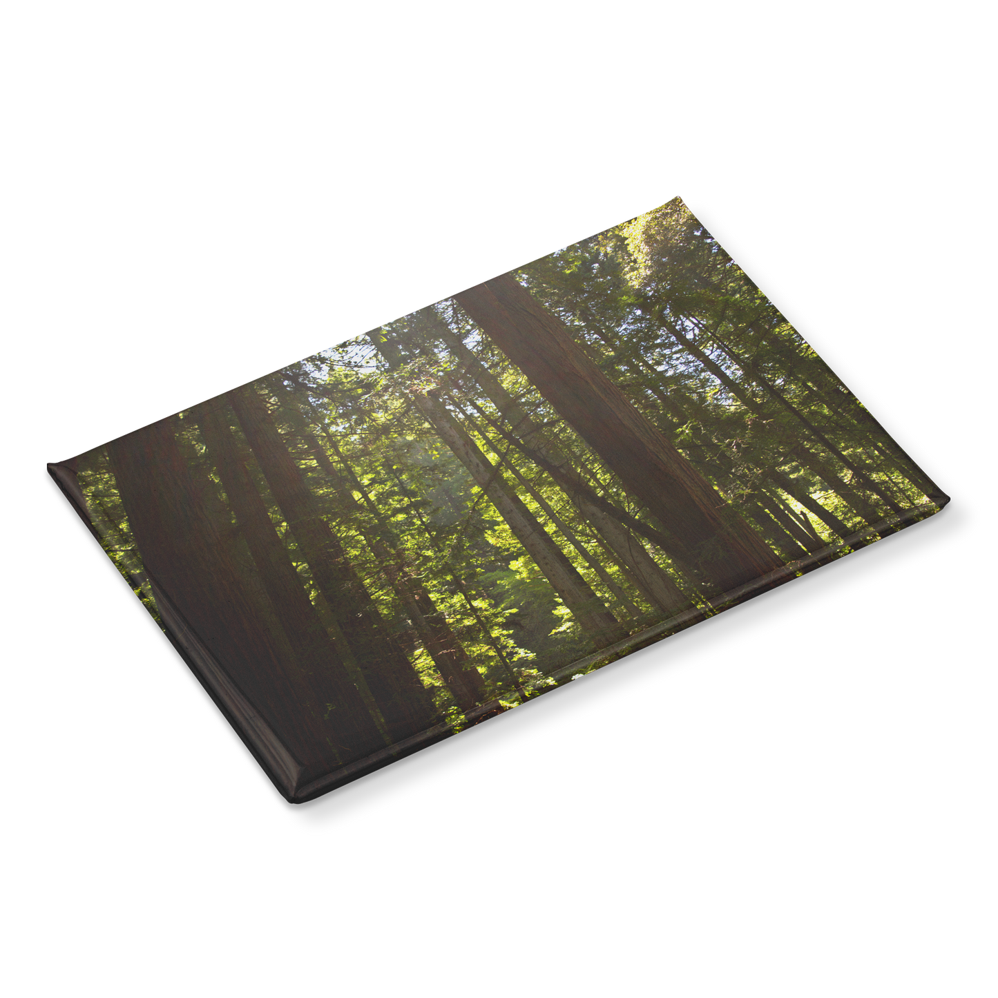 Luminous_Sun_Rays_through_Towering_Redwo_RectangleButtonMagnet_H_Angle_Mockup.png