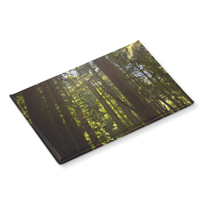 Luminous_Sun_Rays_through_Towering_Redwo_RectangleButtonMagnet_H_Angle_Mockup.png