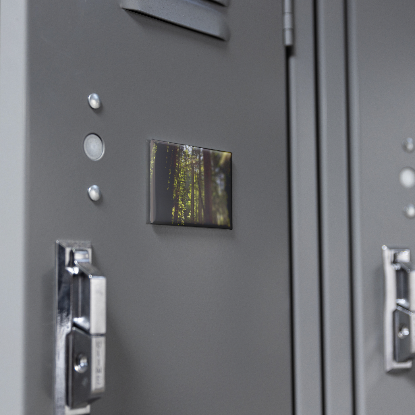 Luminous_Sun_Rays_through_Towering_Redwo_RectangleButtonMagnet_H_Locker_Mockup.png