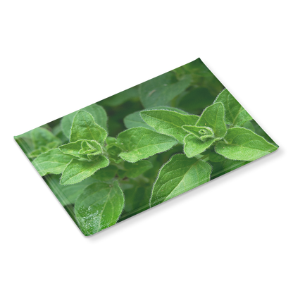 Lush_Oregano_Leaves_Growing_in_Garden_R_RectangleButtonMagnet_H_Angle_Mockup.png