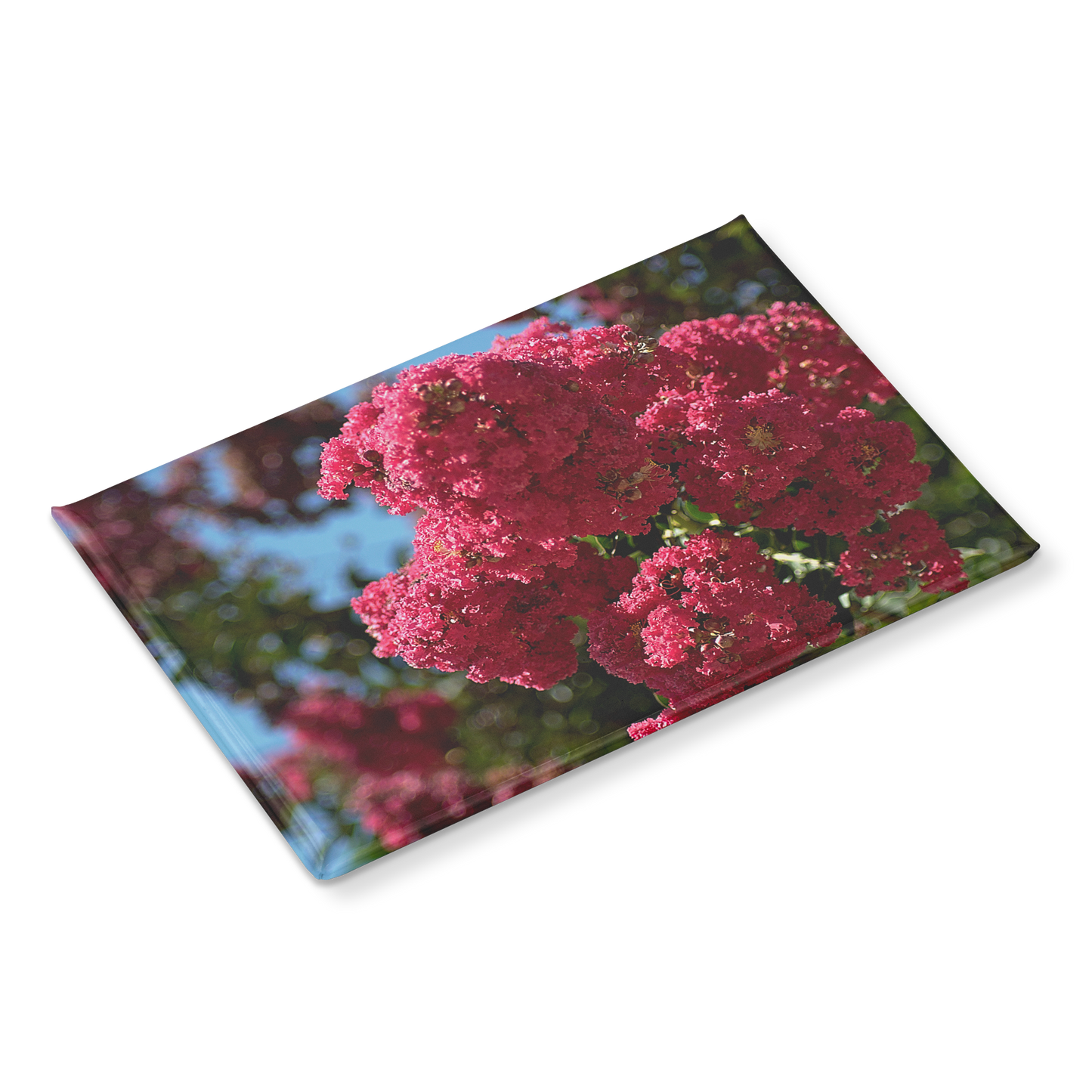 Lush_Pink_Crape_Myrtle_in_Full_Bloom_Re_RectangleButtonMagnet_H_Angle_Mockup.png