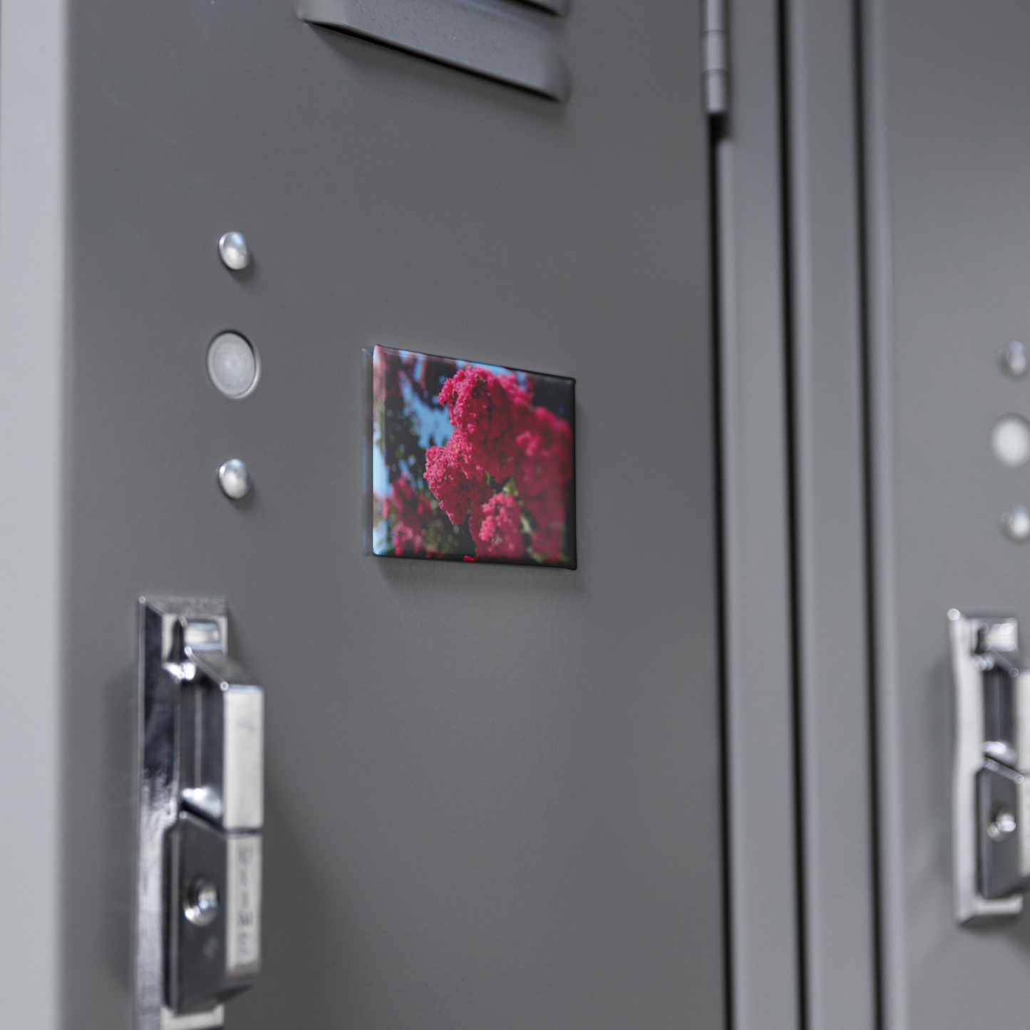 Lush_Pink_Crape_Myrtle_in_Full_Bloom_Re_RectangleButtonMagnet_H_Locker_Mockup.png