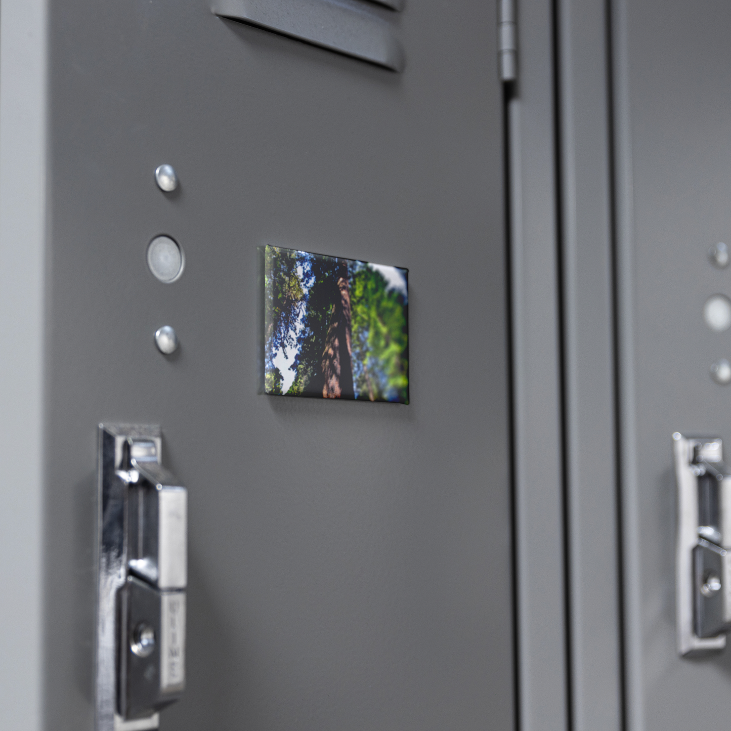 Majestic_Giant_Sequoia_Seen_from_Below__RectangleButtonMagnet_H_Locker_Mockup.png
