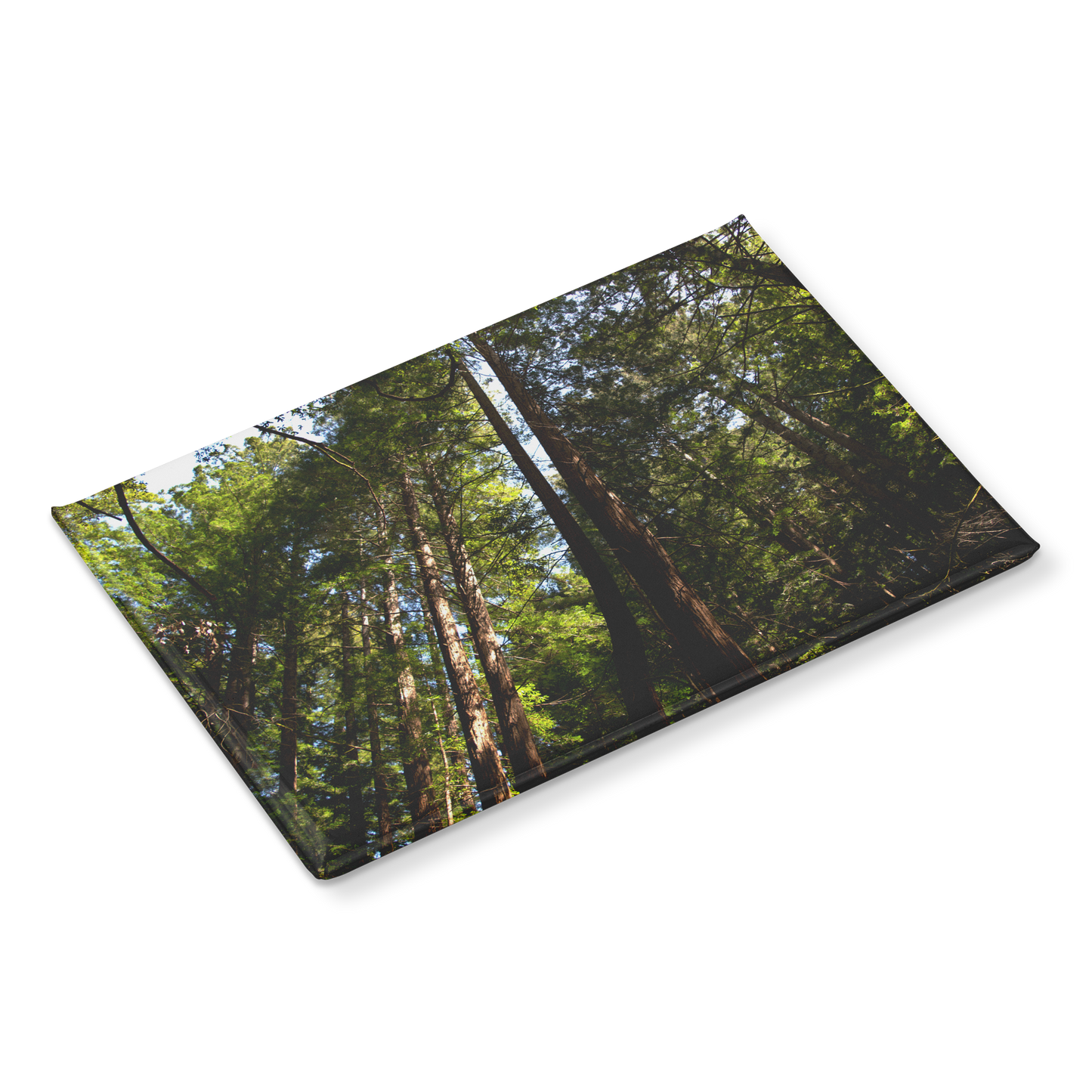 Majestic_Sunlit_Redwood_Grove_Rectangul_RectangleButtonMagnet_H_Angle_Mockup.png