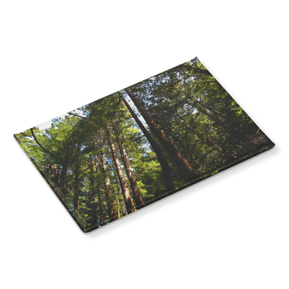 Majestic_Sunlit_Redwood_Grove_Rectangul_RectangleButtonMagnet_H_Angle_Mockup.png