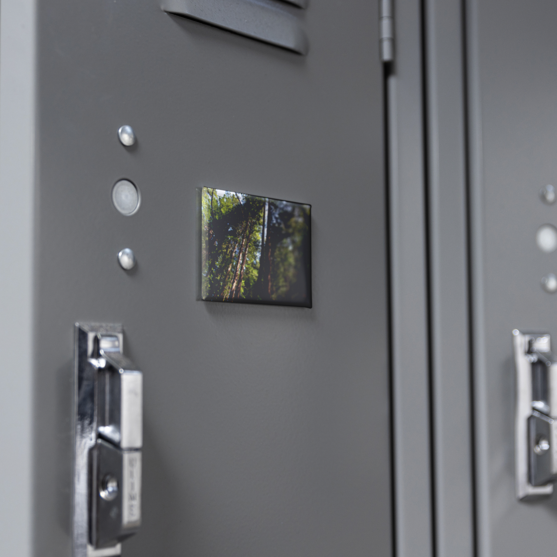 Majestic_Sunlit_Redwood_Grove_Rectangul_RectangleButtonMagnet_H_Locker_Mockup.png
