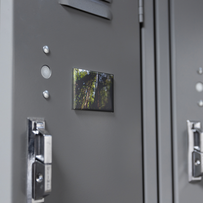 Majestic_Sunlit_Redwood_Grove_Rectangul_RectangleButtonMagnet_H_Locker_Mockup.png