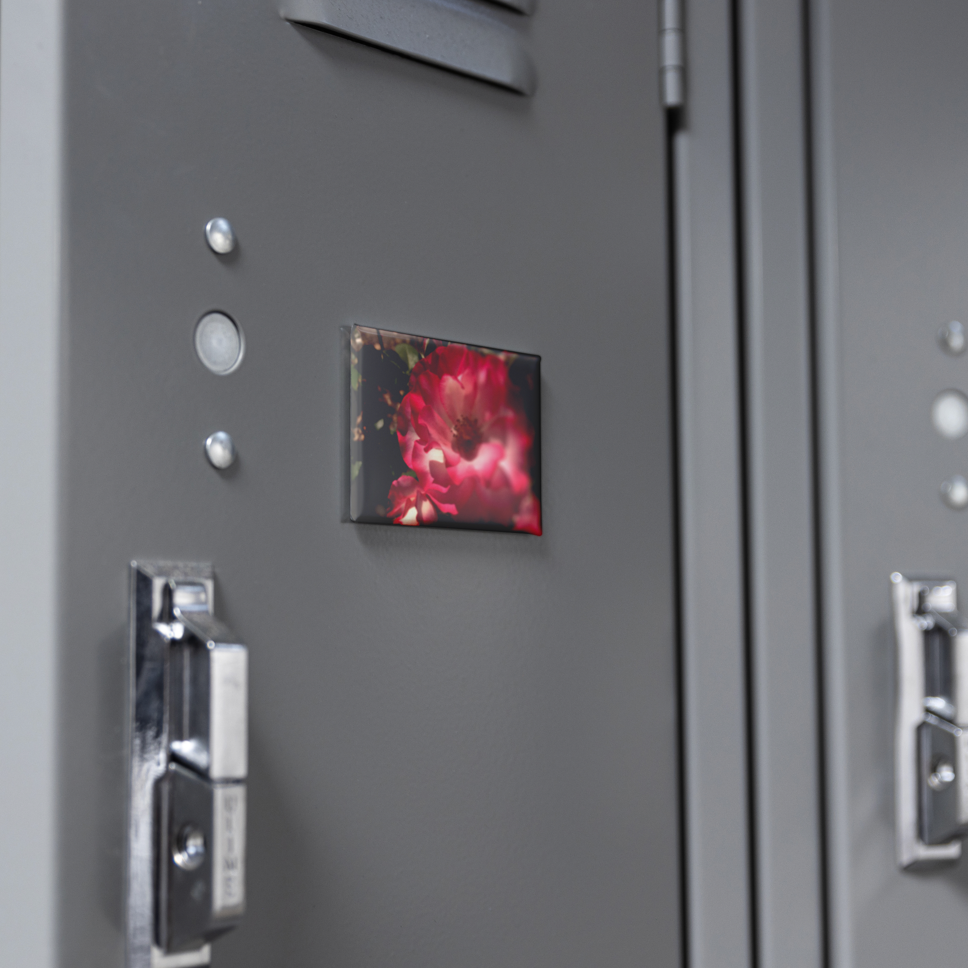Pastel_Pink_Rose_with_Soft_Gradient_Peta_RectangleButtonMagnet_H_Locker_Mockup.png