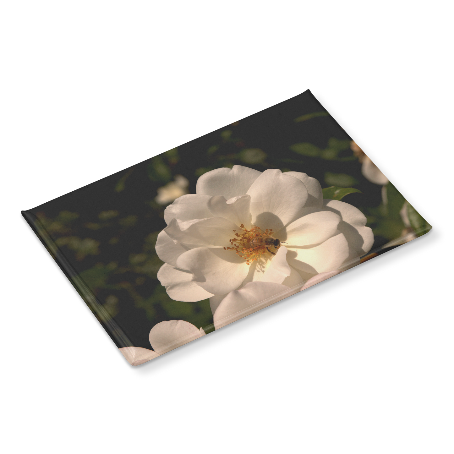 Pure_White_Rose_with_Honeybee_Rectangul_RectangleButtonMagnet_H_Angle_Mockup.png