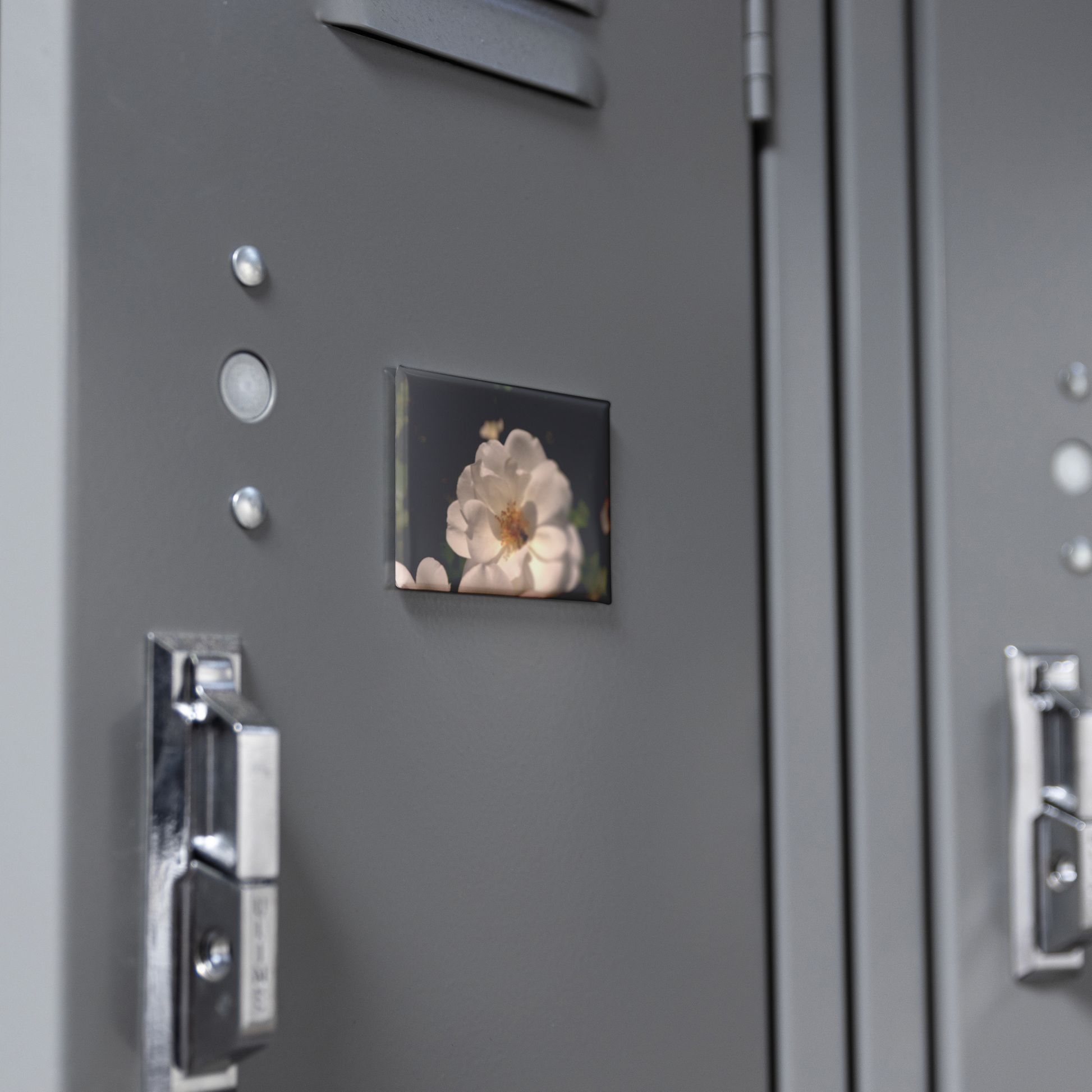 Pure_White_Rose_with_Honeybee_Rectangul_RectangleButtonMagnet_H_Locker_Mockup.png
