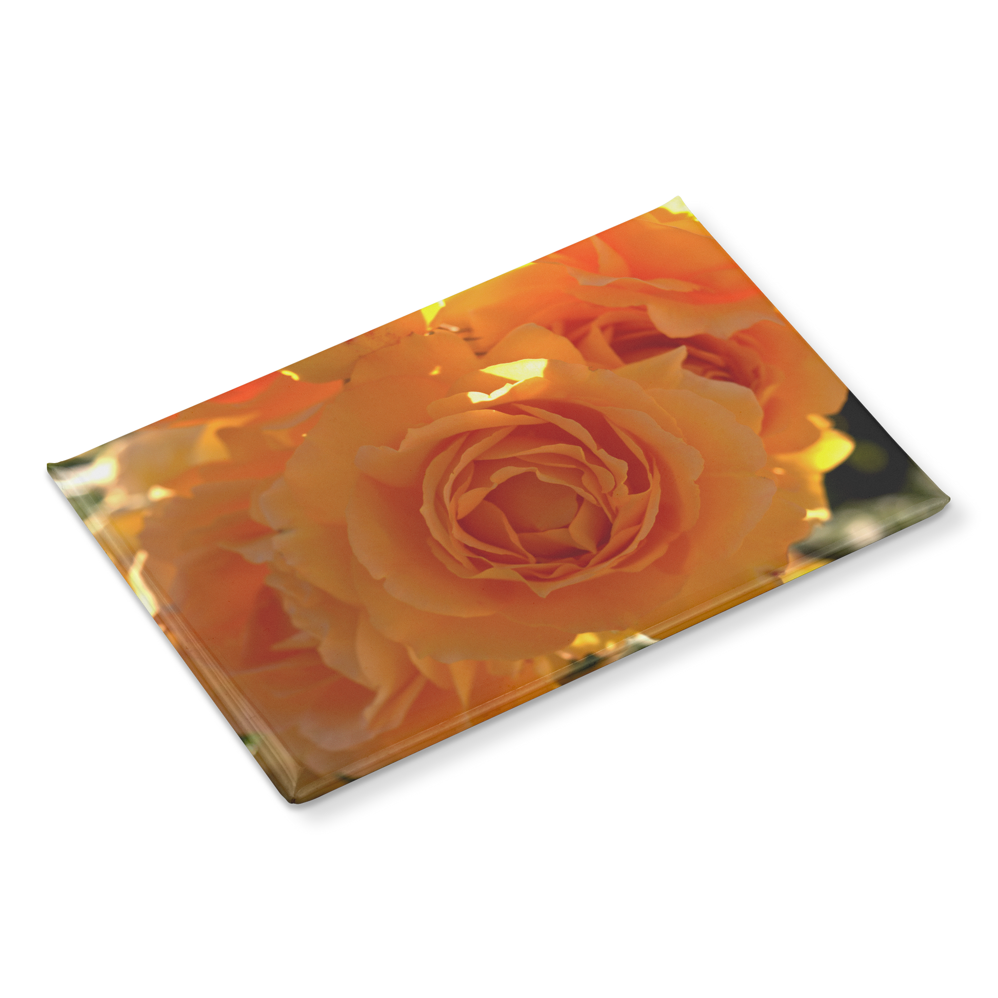 Radiant_Orange_Roses_Bathed_in_Sunlight_RectangleButtonMagnet_H_Angle_Mockup.png
