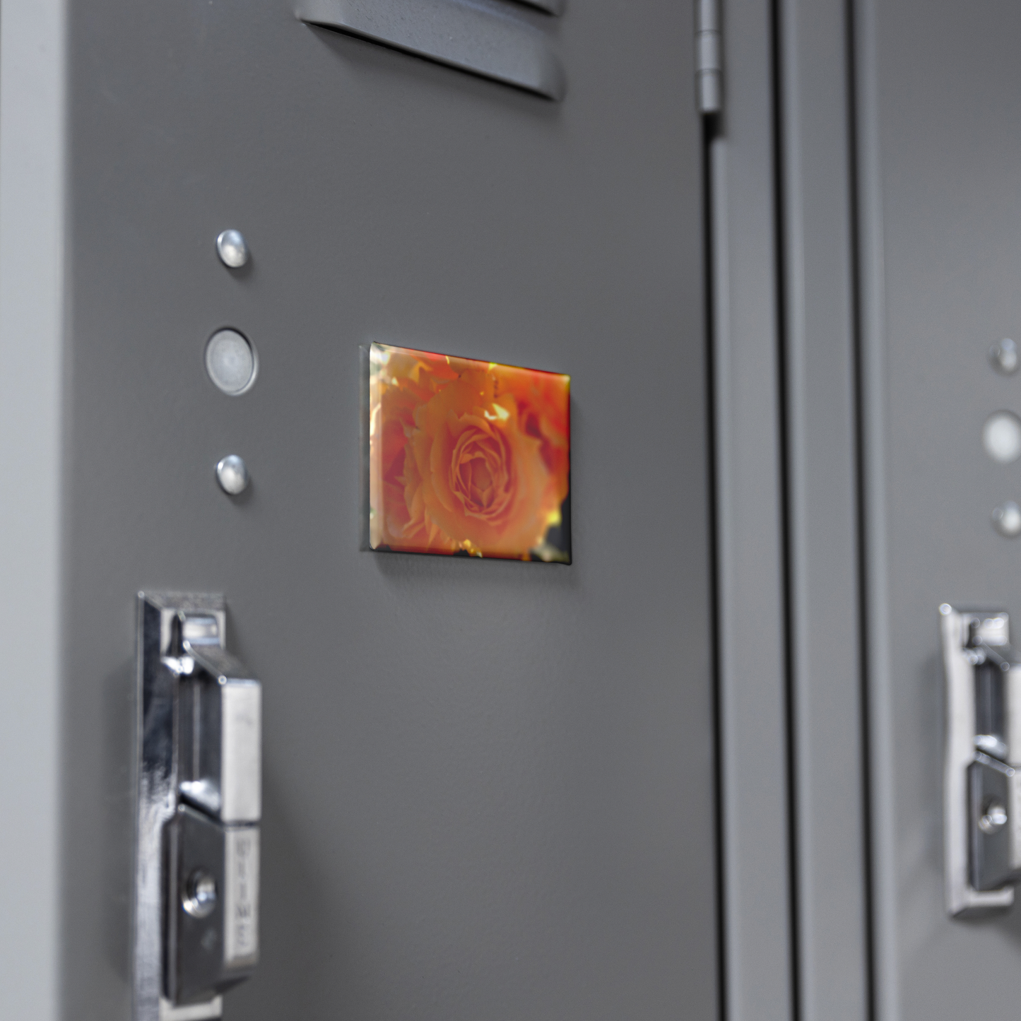 Radiant_Orange_Roses_Bathed_in_Sunlight_RectangleButtonMagnet_H_Locker_Mockup.png