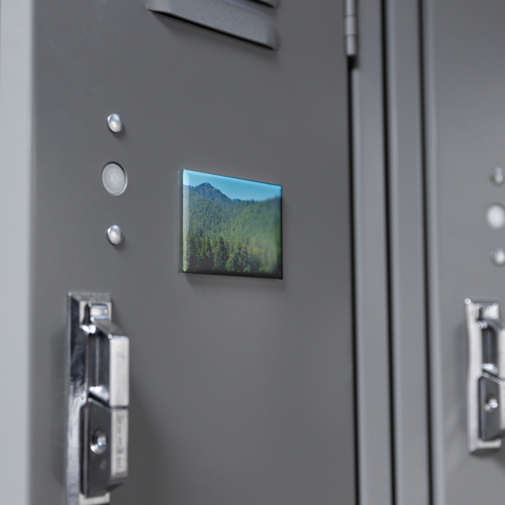 Redwood_Forest_Landscape_in_Humboldt_Mou_RectangleButtonMagnet_H_Locker_Mockup.png