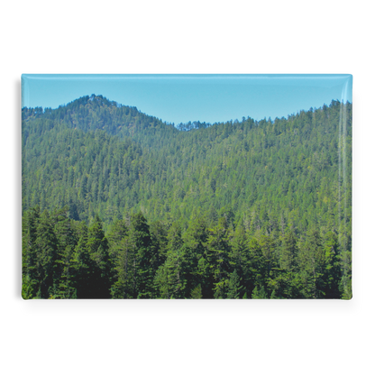 Redwood_Forest_Landscape_in_Humboldt_Mou_RectangleButtonMagnet_H_Main_AS_Mockup.png
